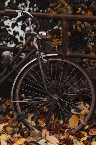 Close-up of a vintage bicycle leaning against a stone lantern surrounded by autumn leaves.