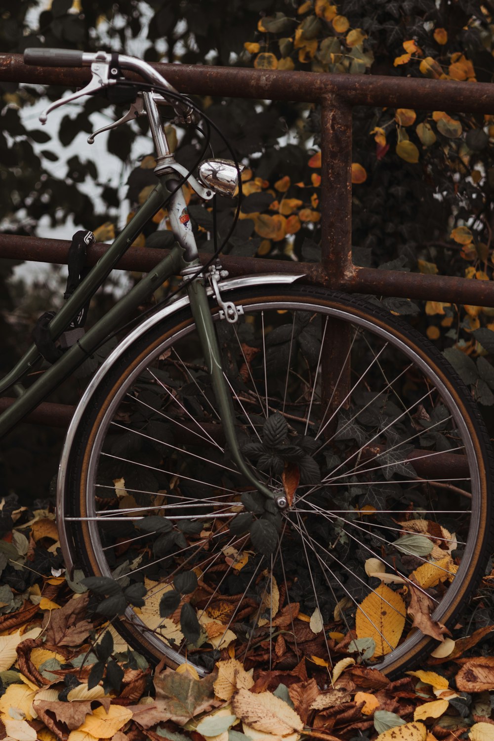 a bicycle parked next to a fence with leaves on the ground