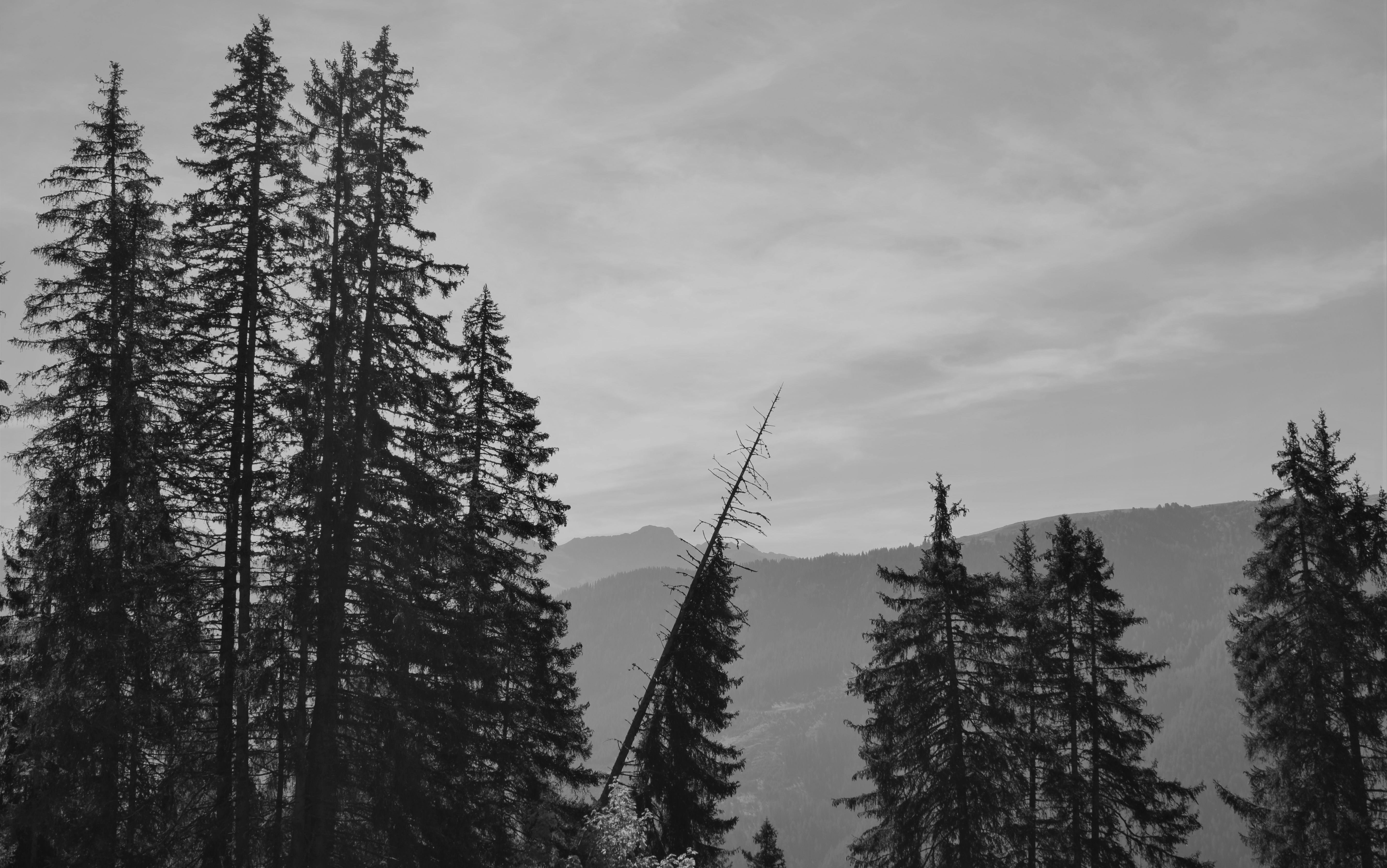 Photo by sea_and_sunset