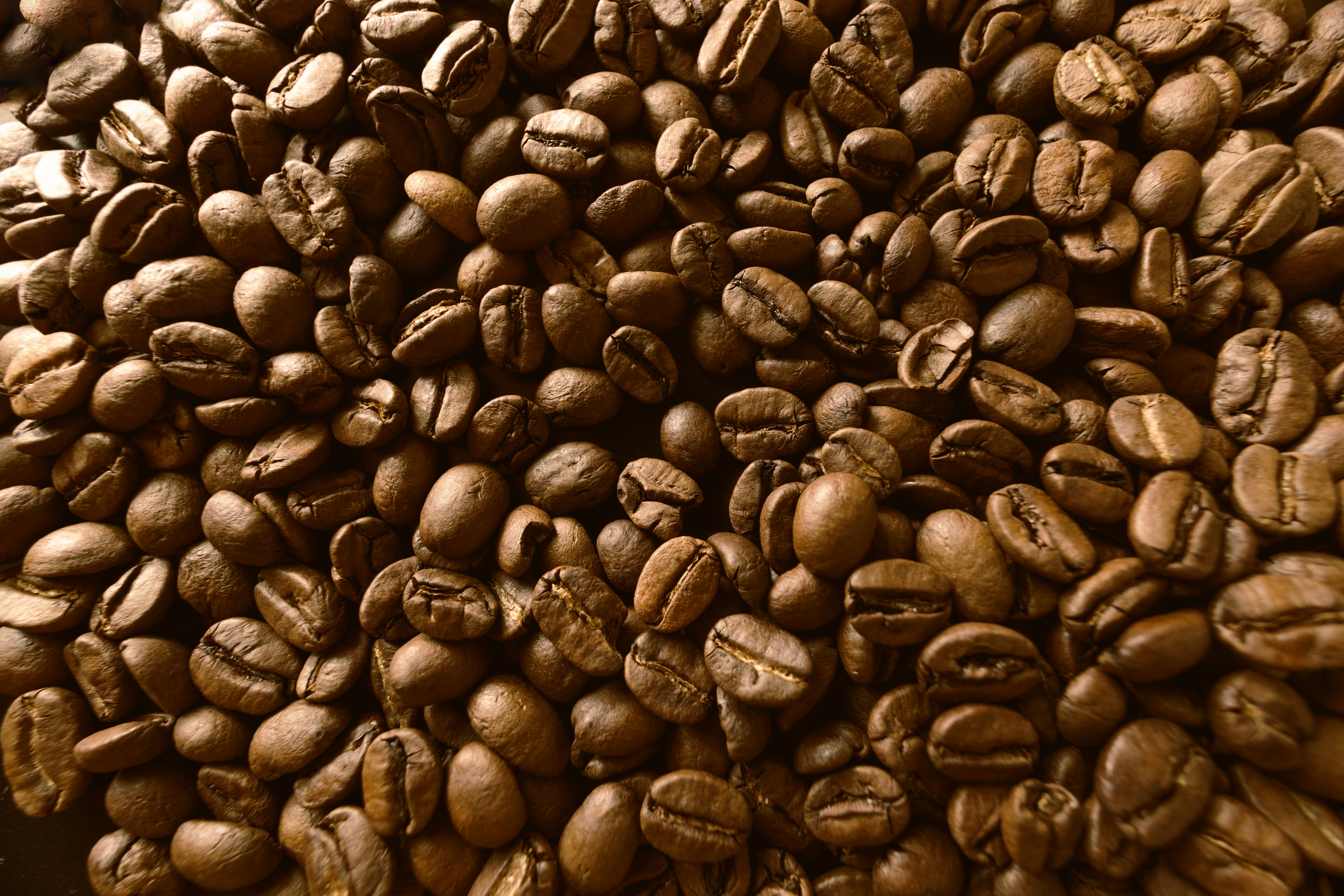 Understanding Arabica and Robusta: The Coffee Controversy Defined