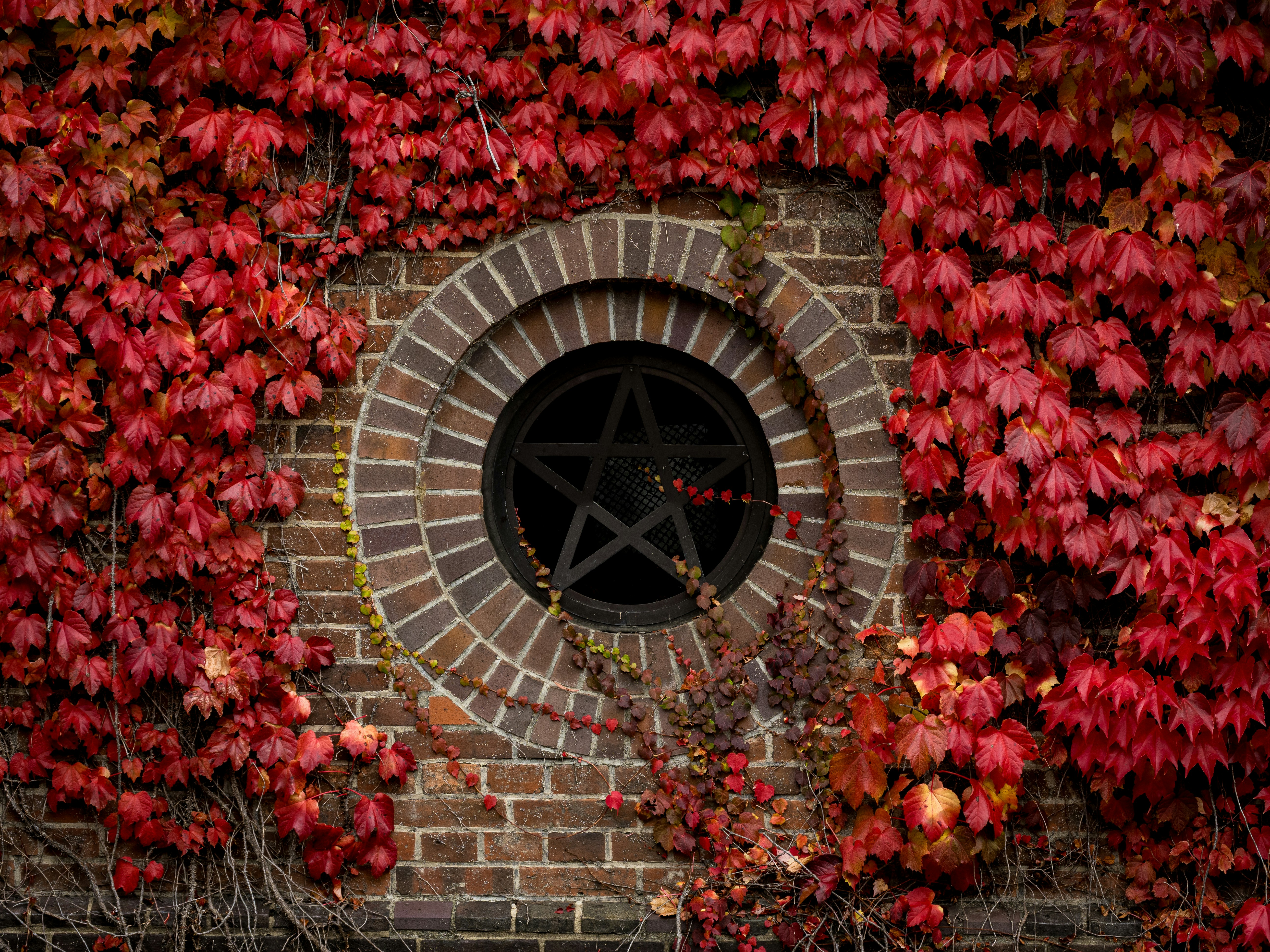 a brick wall with a circular window surrounded by red leaves