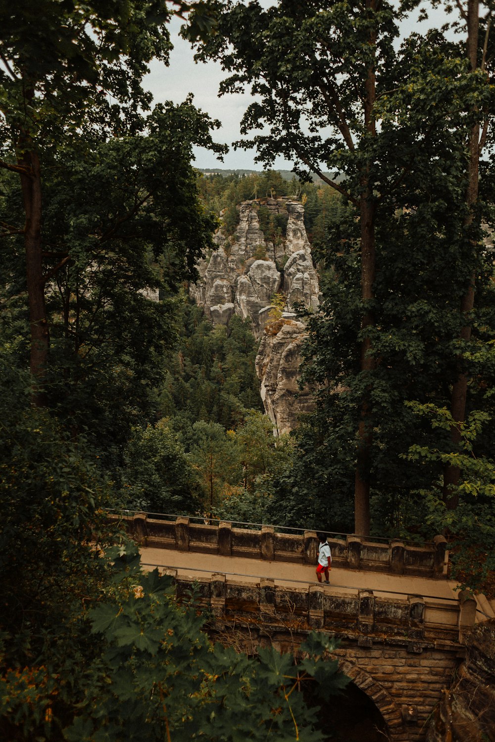 a person standing on a bridge over a river