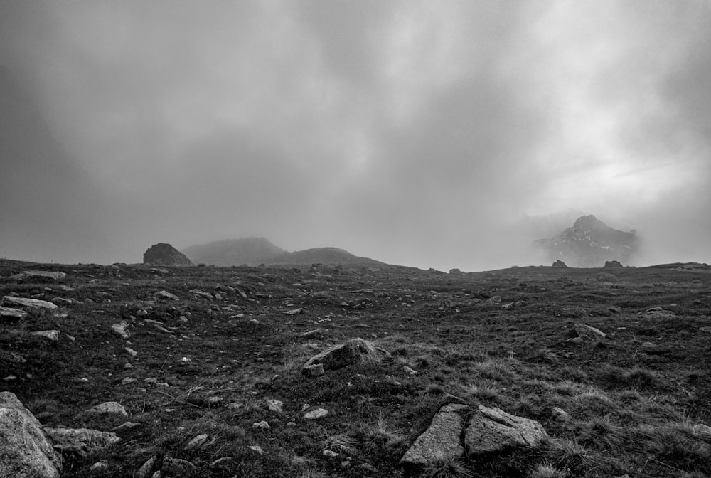 a black and white photo of some rocks and grass