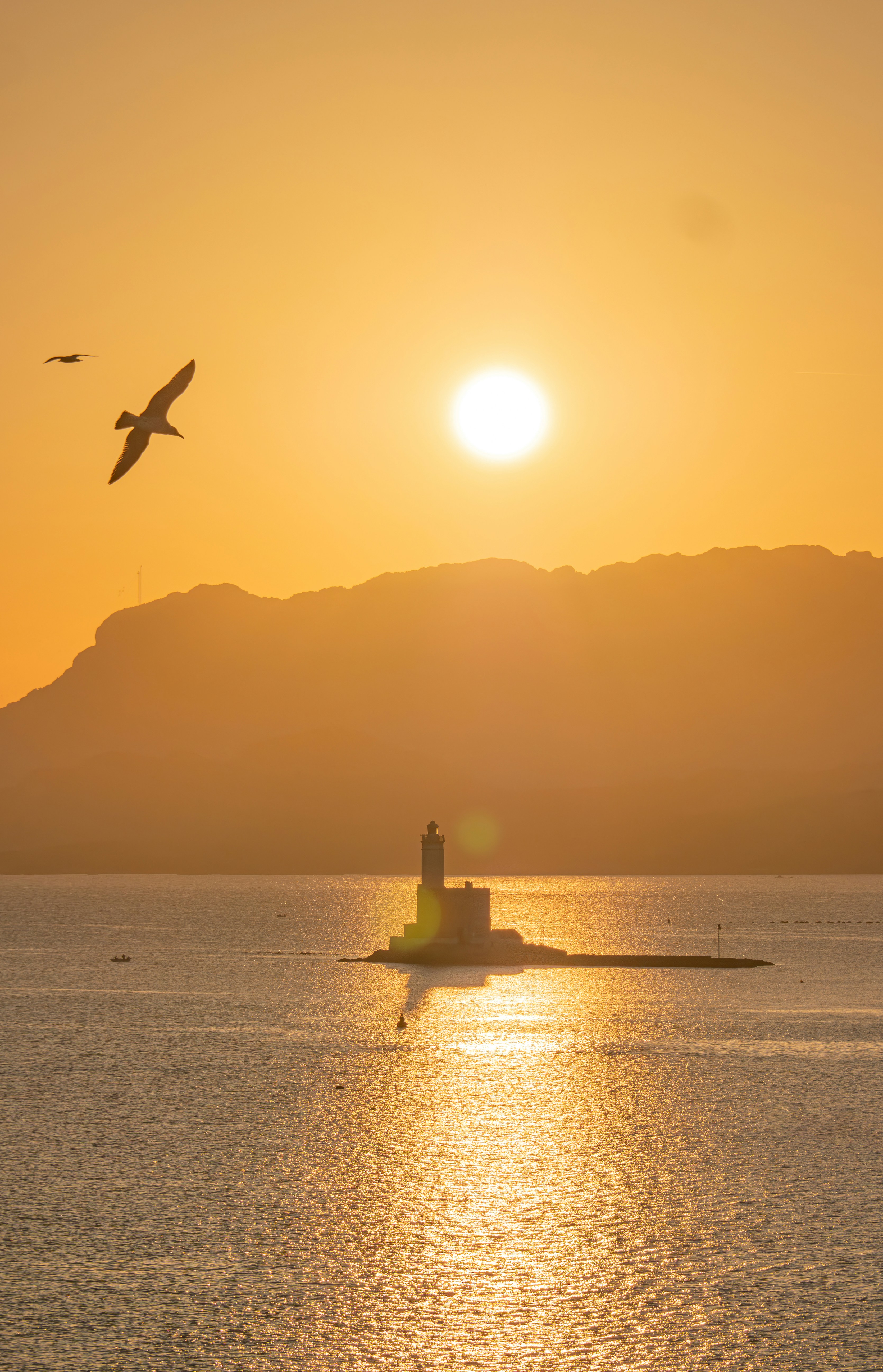 ein Vogel, der bei Sonnenuntergang über ein Gewässer fliegt
