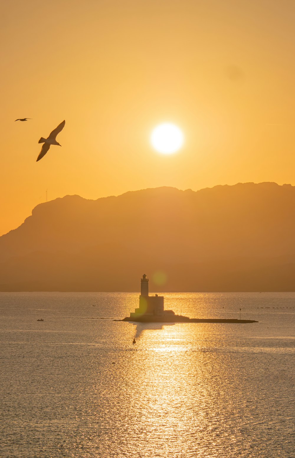 a bird flying over a body of water at sunset