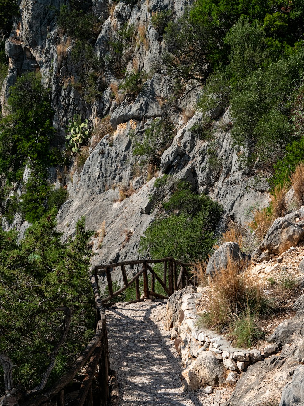 a wooden bridge going over a rocky cliff