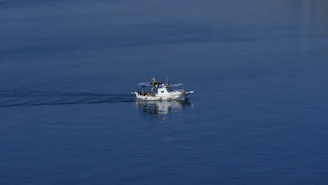 A powerful fishing boat cutting through the calm morning sea near Shengjin shore.