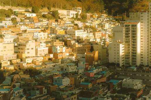 A densely packed urban area with a mix of colorful low-rise buildings and a few tall apartment blocks. The sunlight casts a warm, golden hue over the neighborhood. The buildings are closely arranged, creating a patchwork of shapes and colors. A forested hillside with some trees is visible in the background.