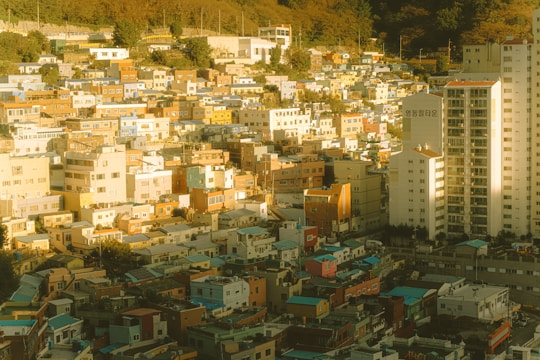 A diverse urban neighborhood with newly renovated residential buildings bathed in warm sunlight.