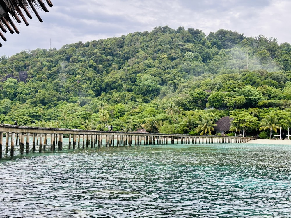 a long wooden bridge over a body of water