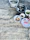 Close-up of a rustic wooden table with bowls of different rice varieties, including 386 parboiled rice.