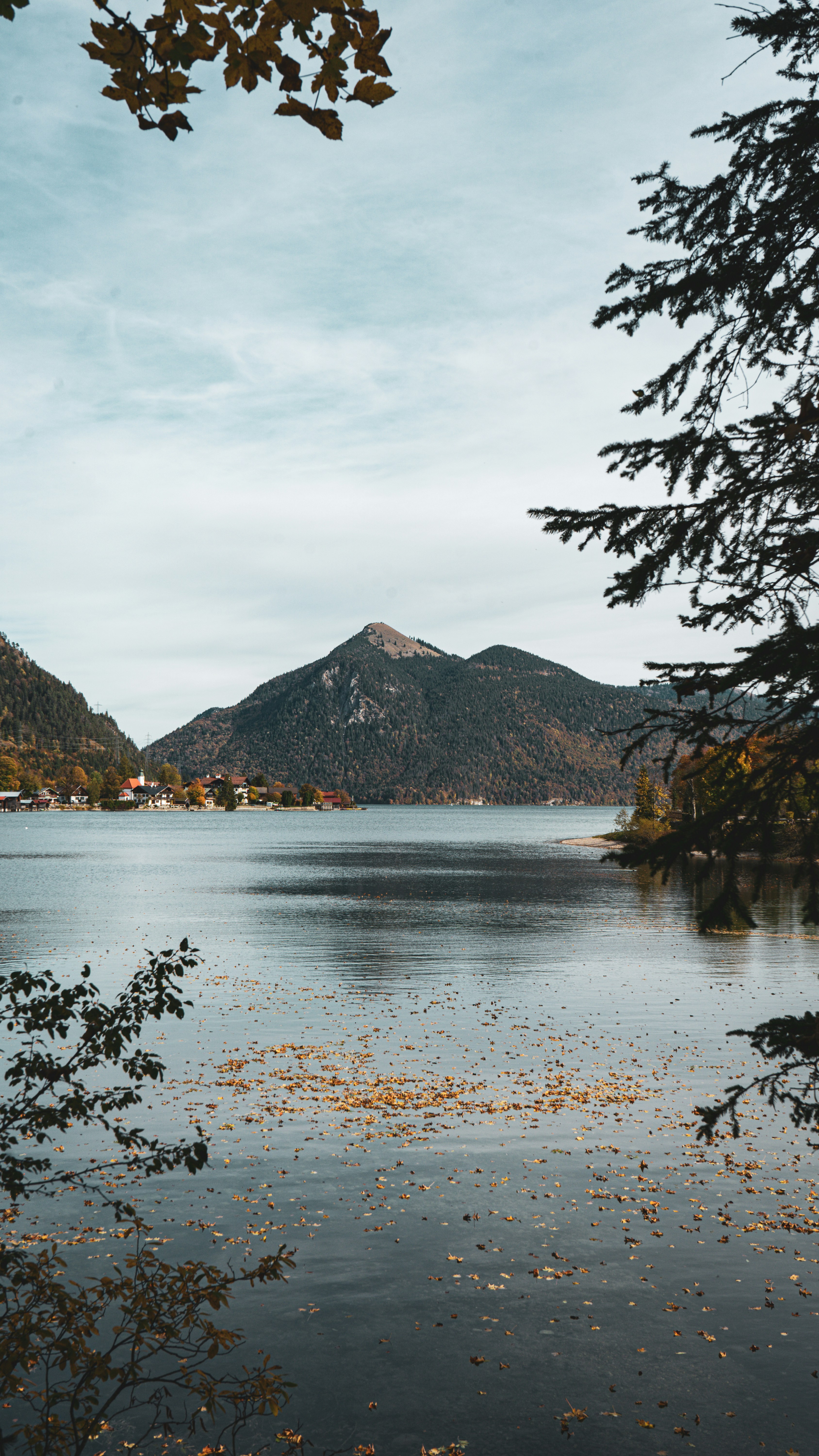 Photo by danielzermand