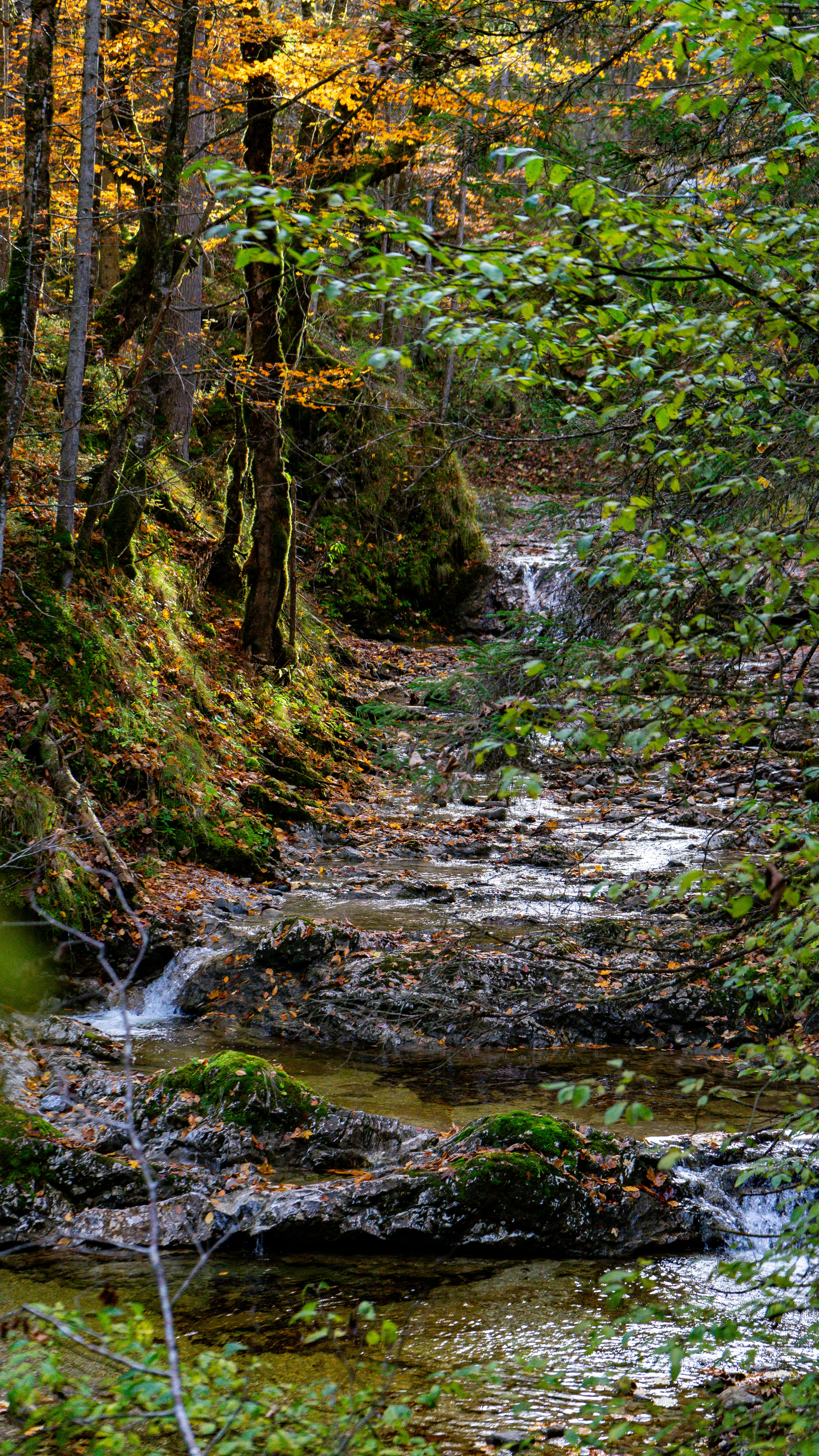 Photo by danielsiebert