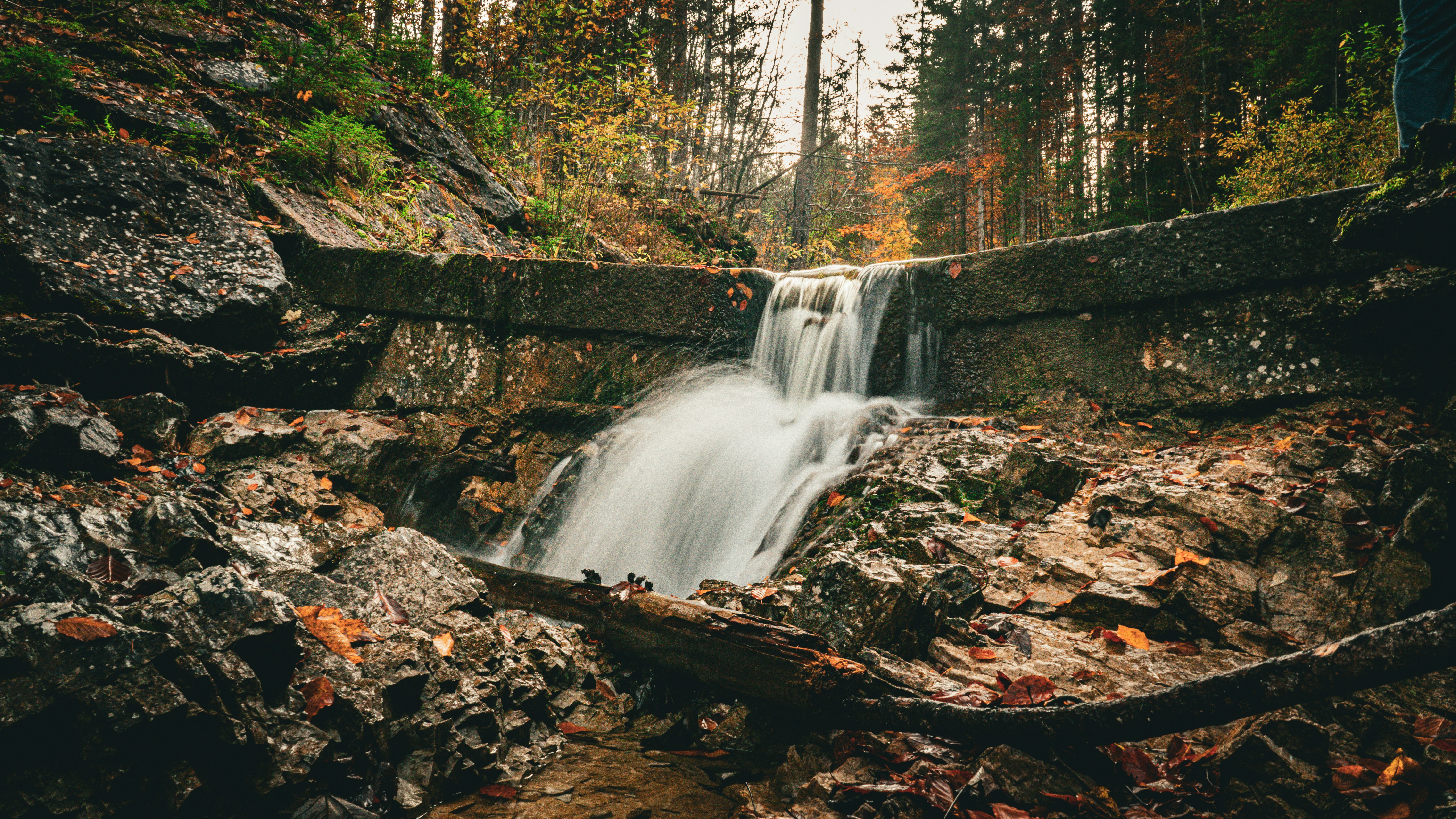 Photo by danielzermand