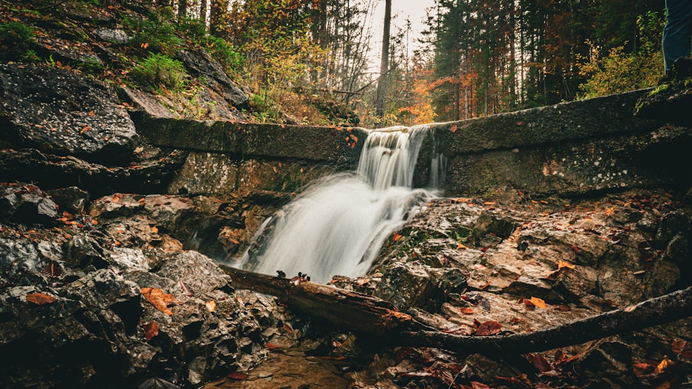 a waterfall in the middle of a forest