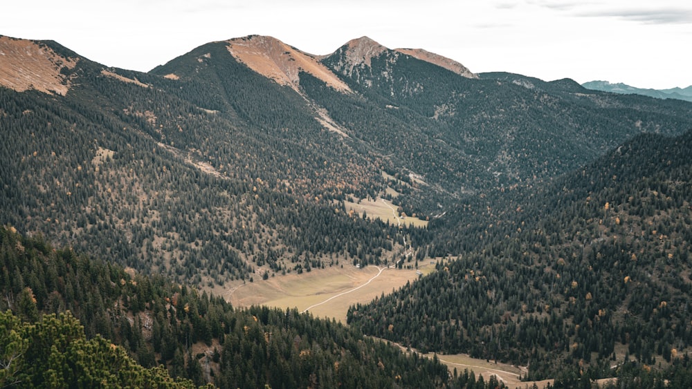 a scenic view of a valley and mountains