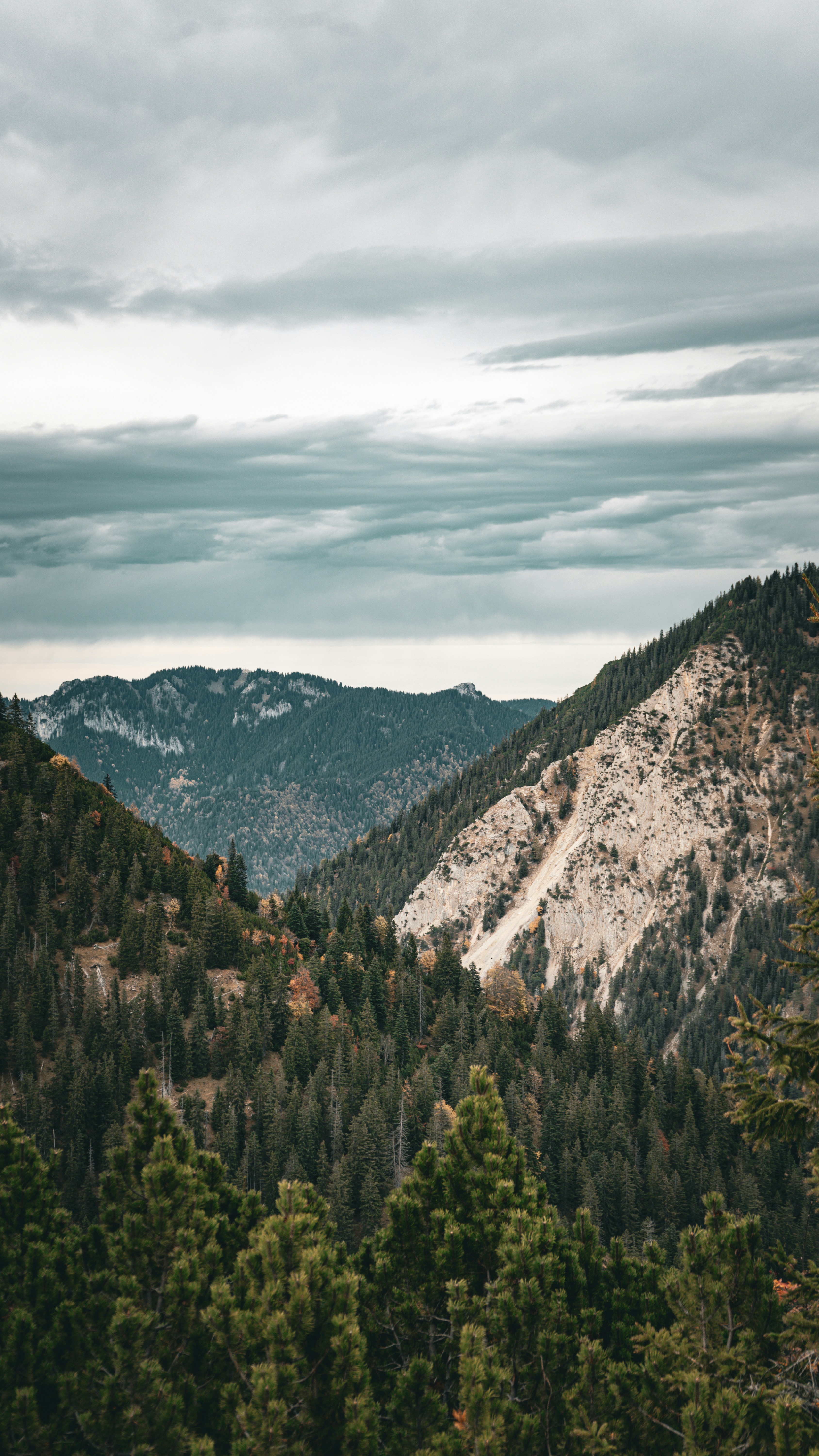 Photo by danielzermand