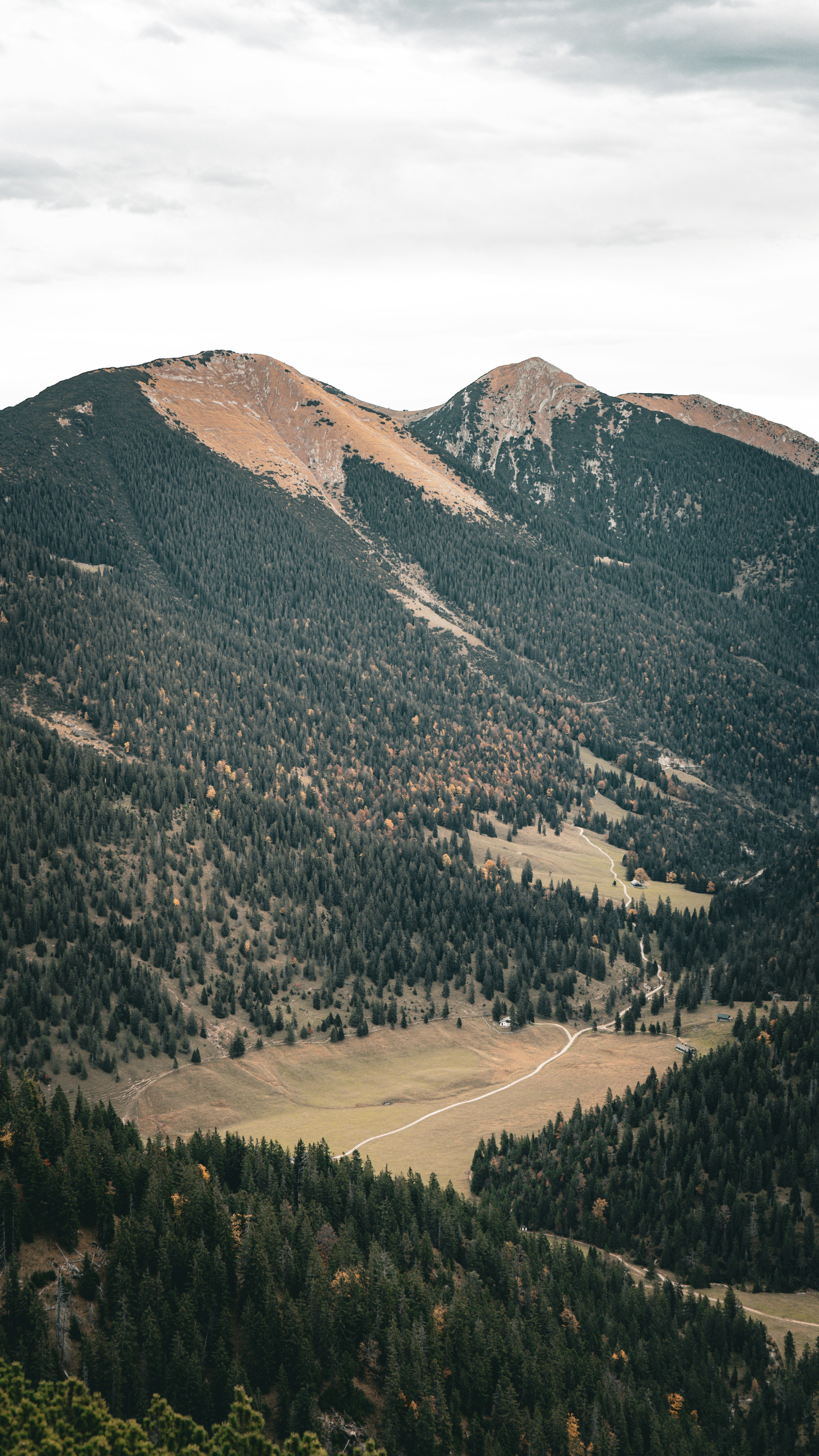 Photo by danielzermand