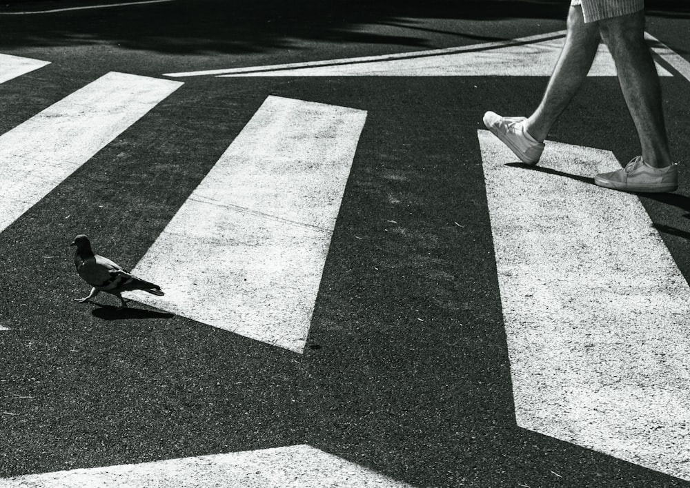 a black and white photo of a person walking across a crosswalk