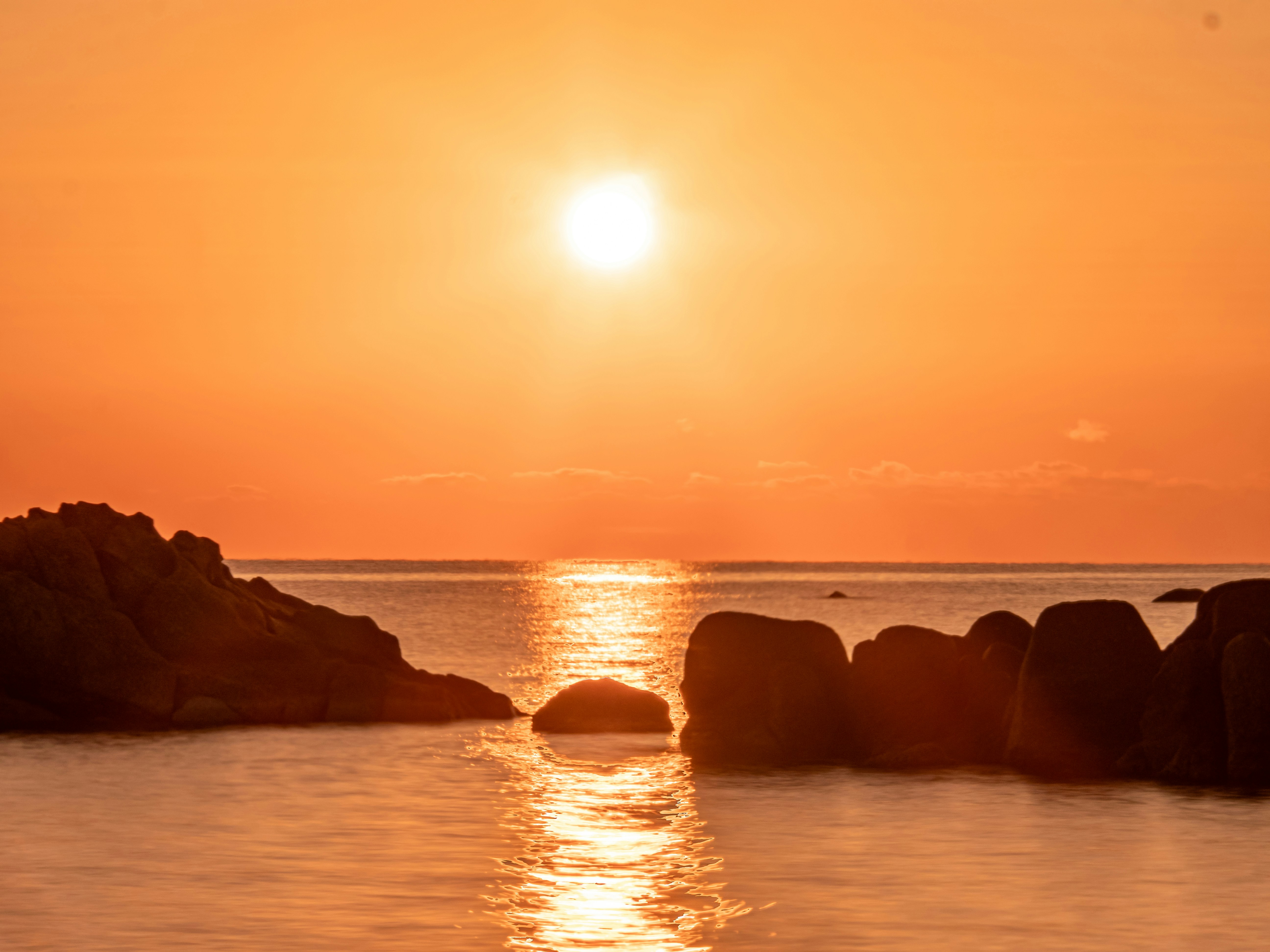 Photo by poli_graphy