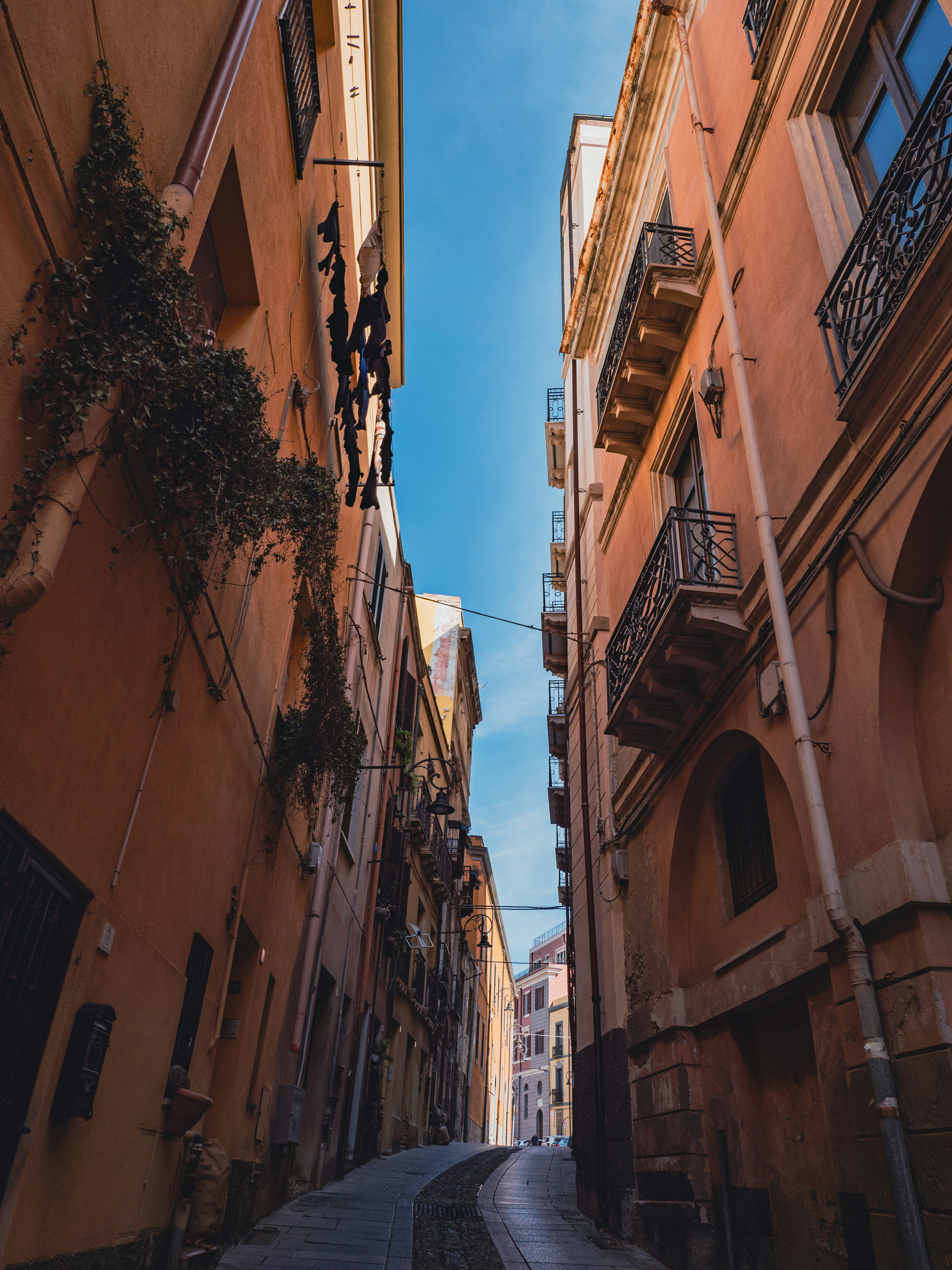 Photo by poli_graphy