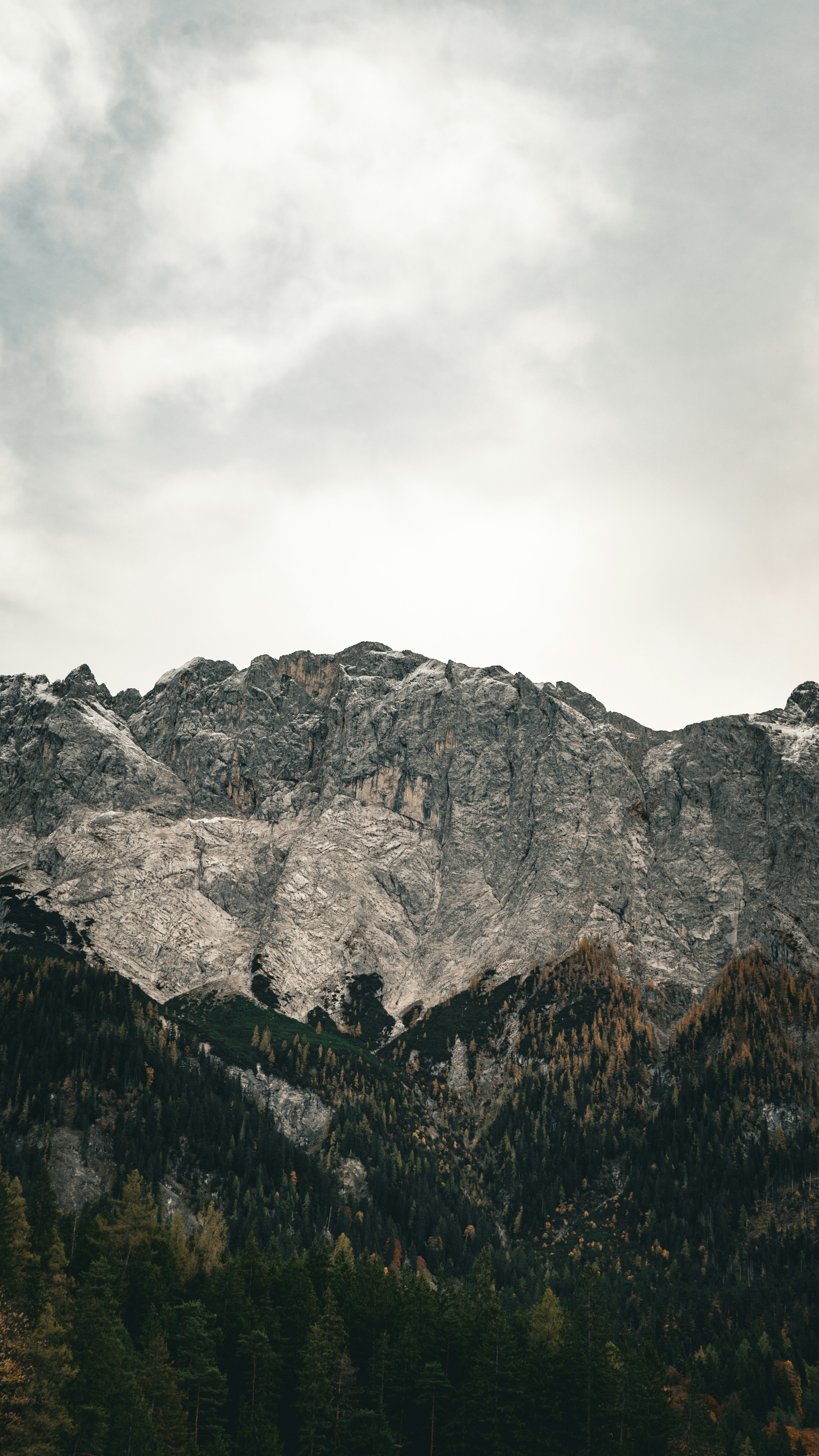 Photo by danielsiebert