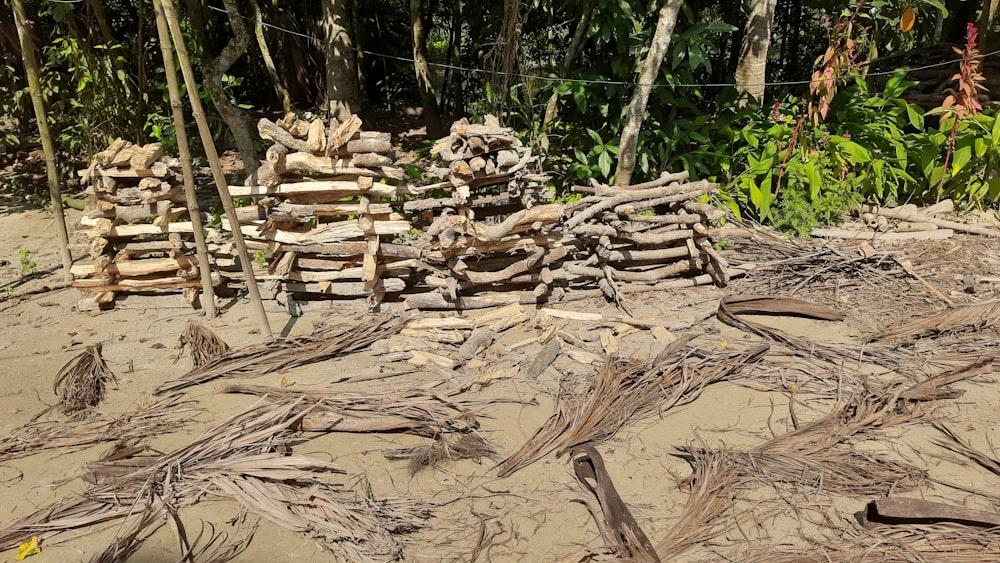 a pile of wood sitting on top of a sandy beach