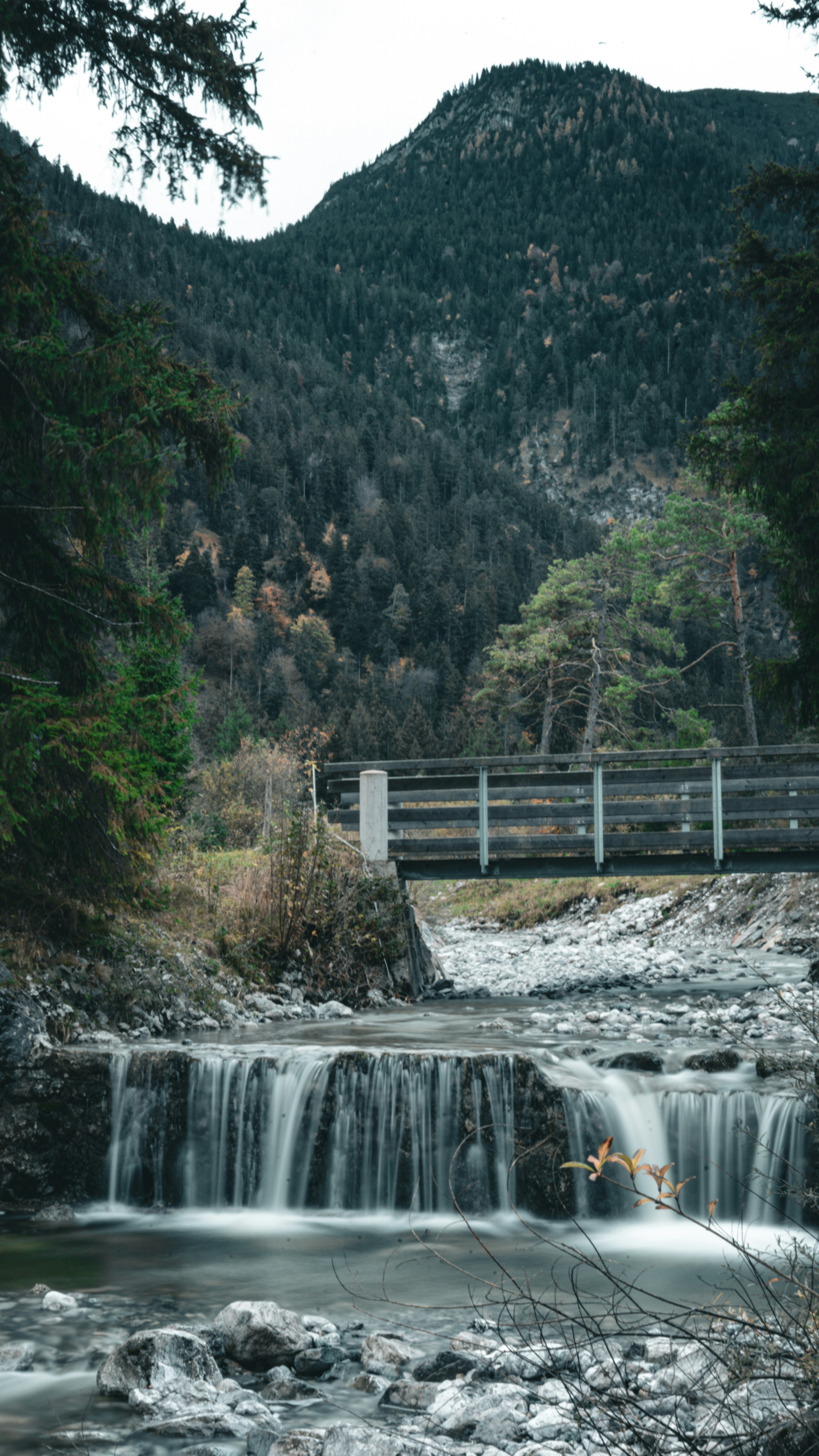 a small waterfall in the middle of a forest