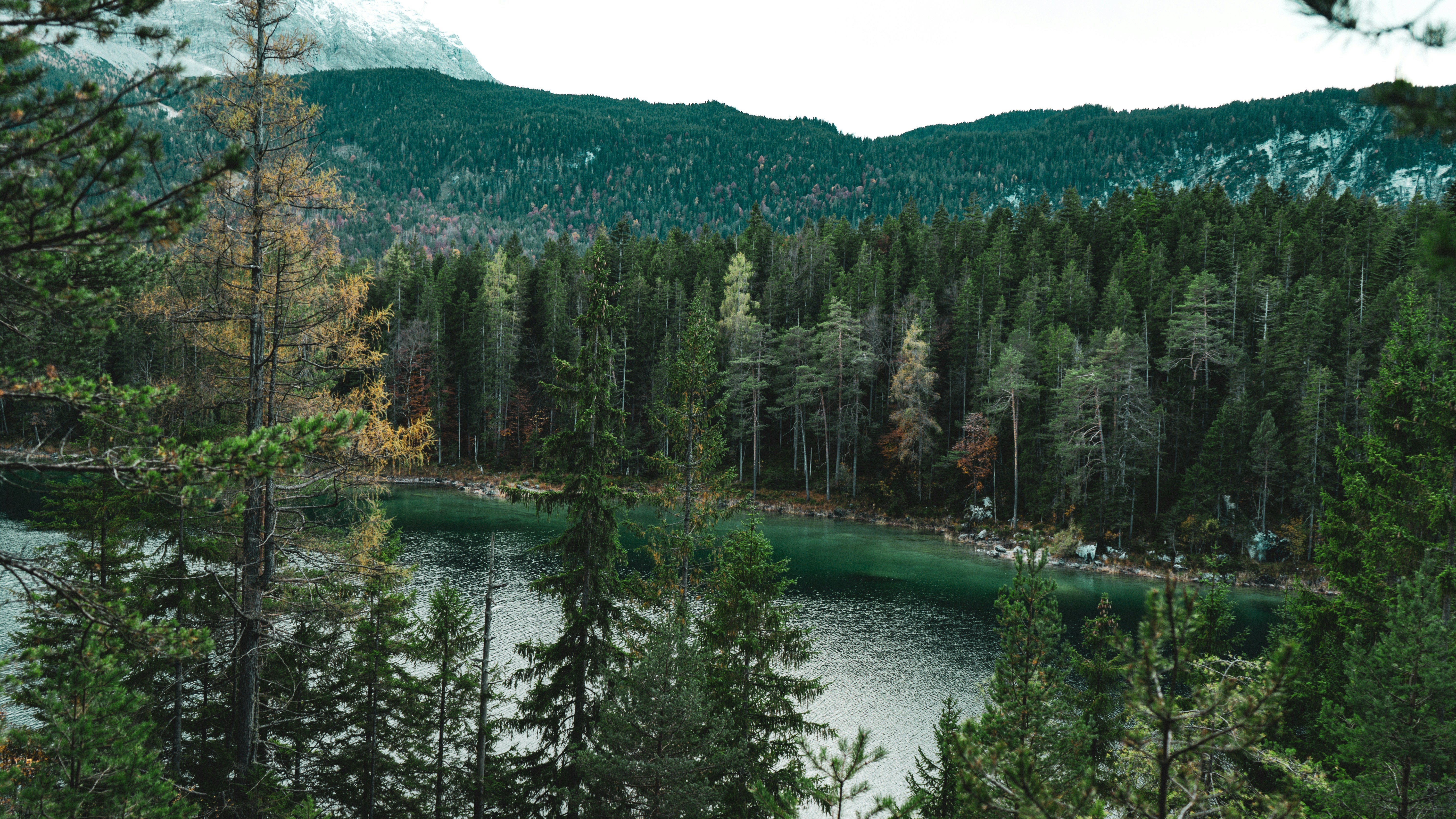 Photo by danielsiebert