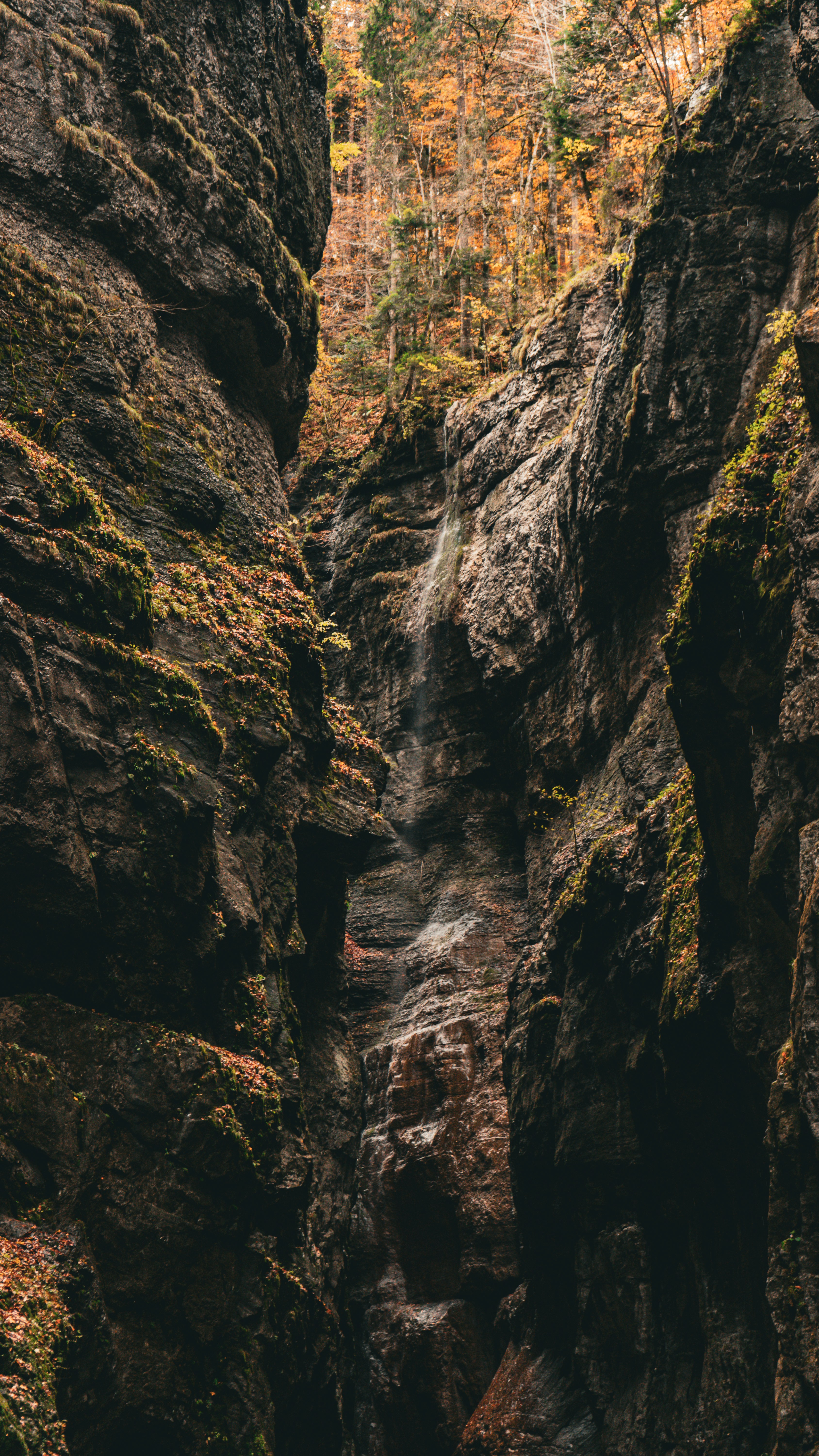 Photo by danielsiebert