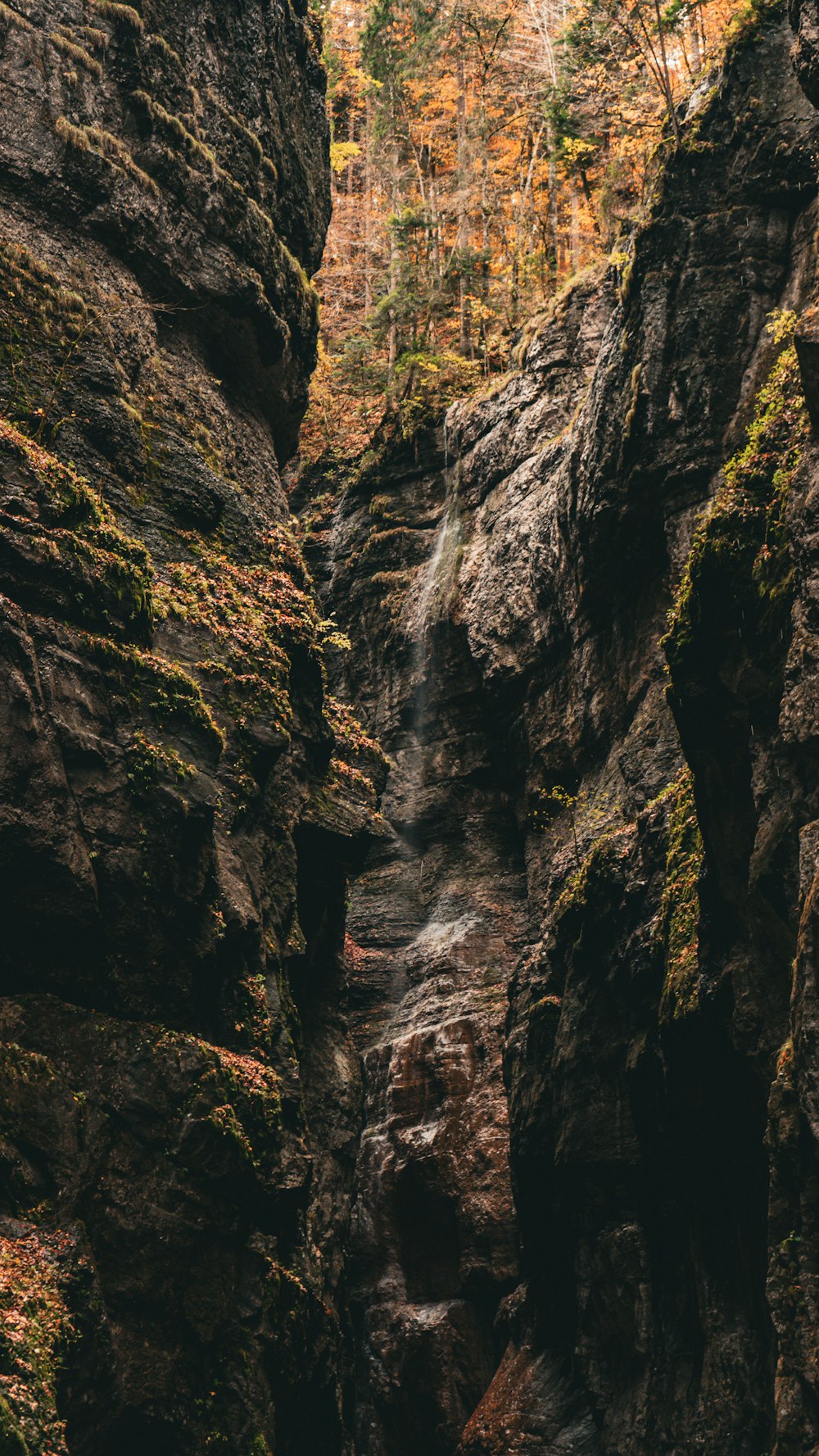 Una cascada en medio de una zona rocosa