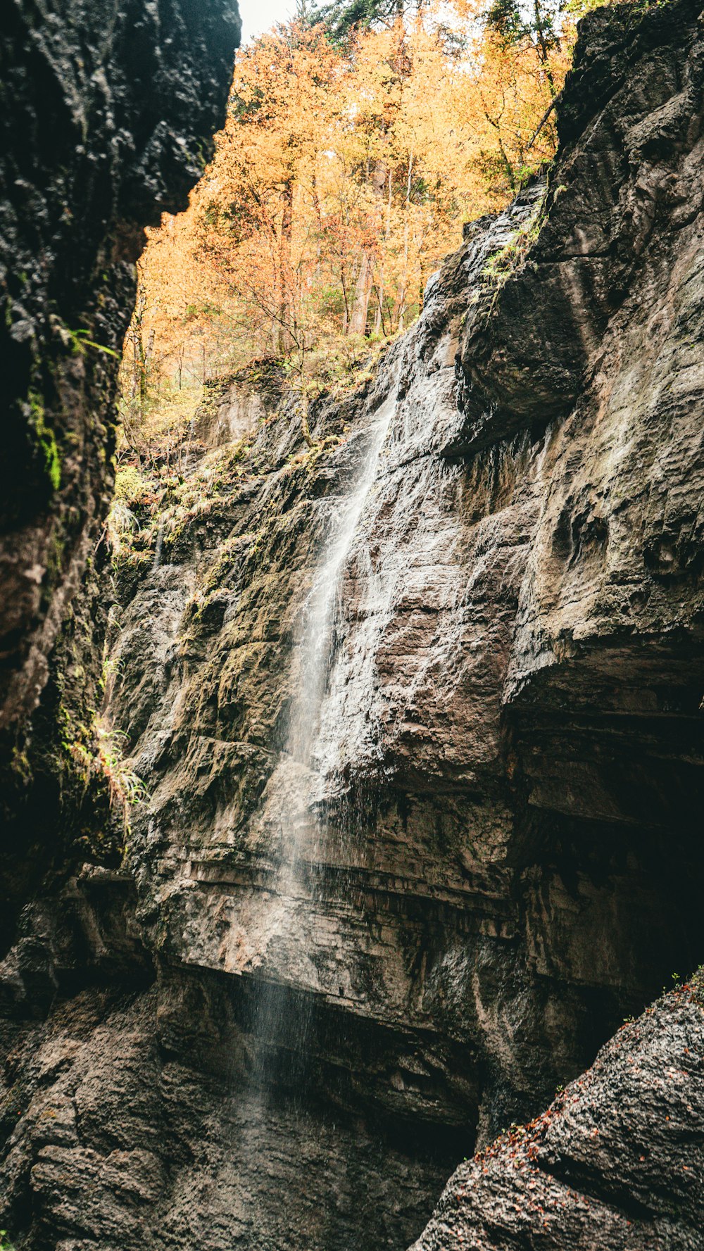 a waterfall in the middle of a forest