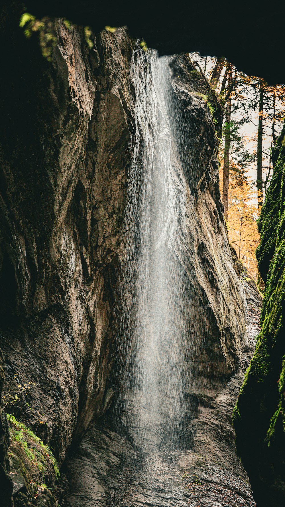 a small waterfall in the middle of a forest