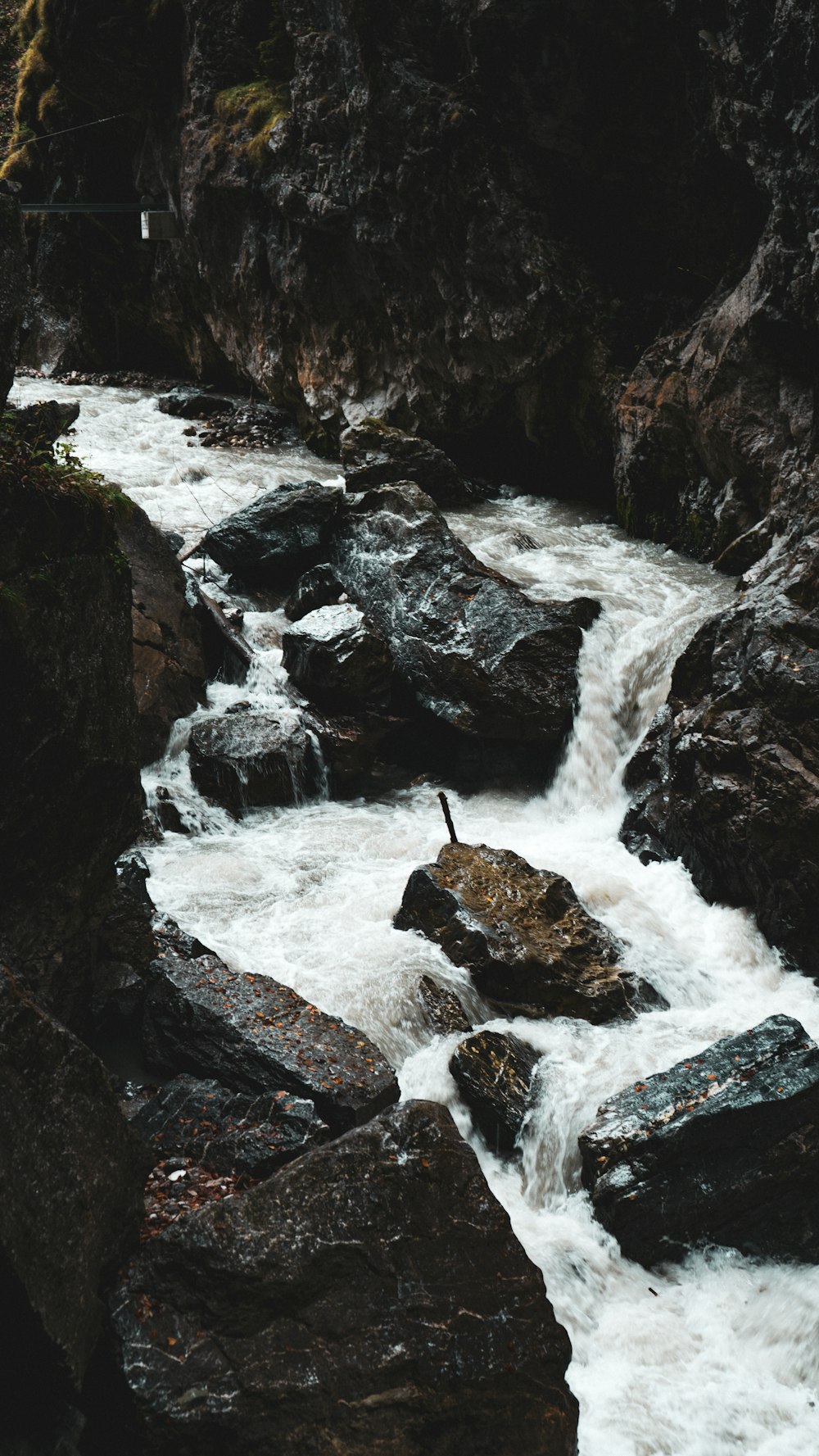 a man standing on a rock next to a river