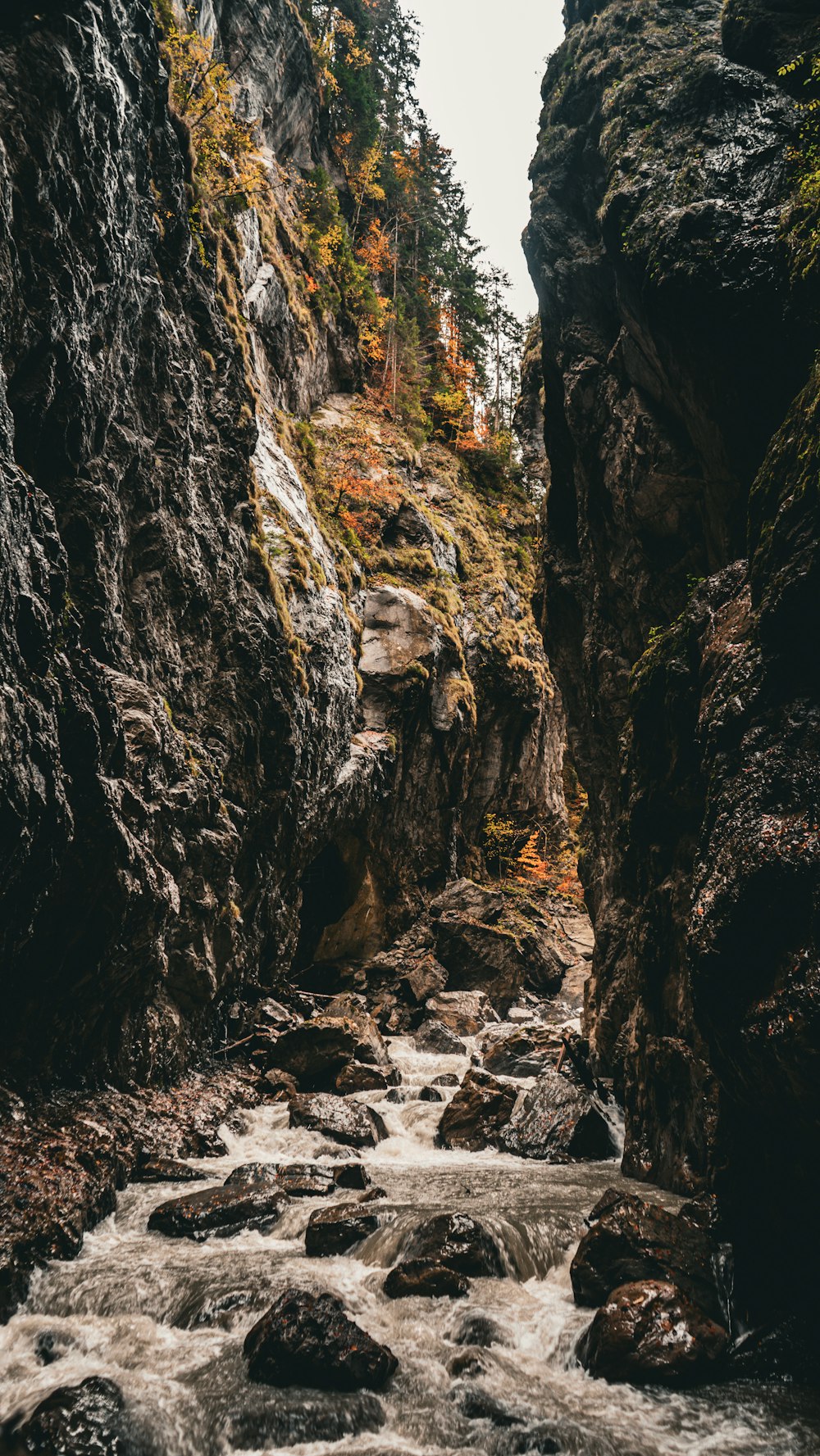 a river running through a rocky canyon next to a forest