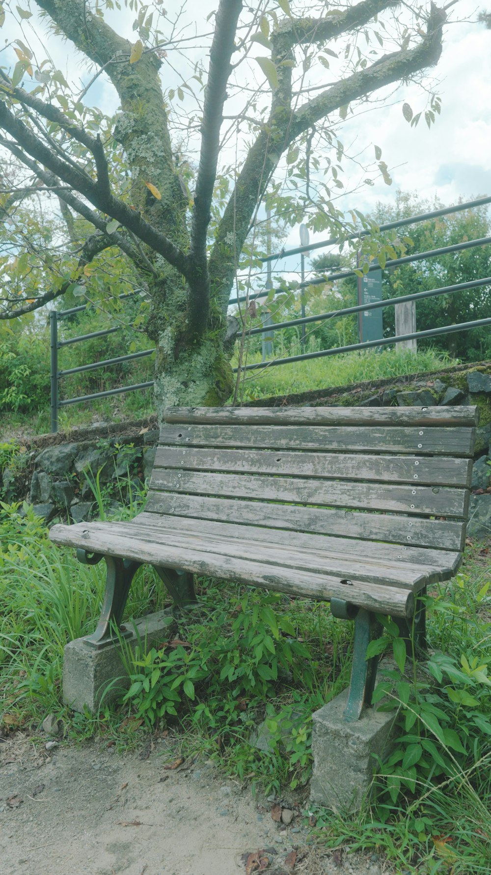 a wooden bench sitting next to a tree