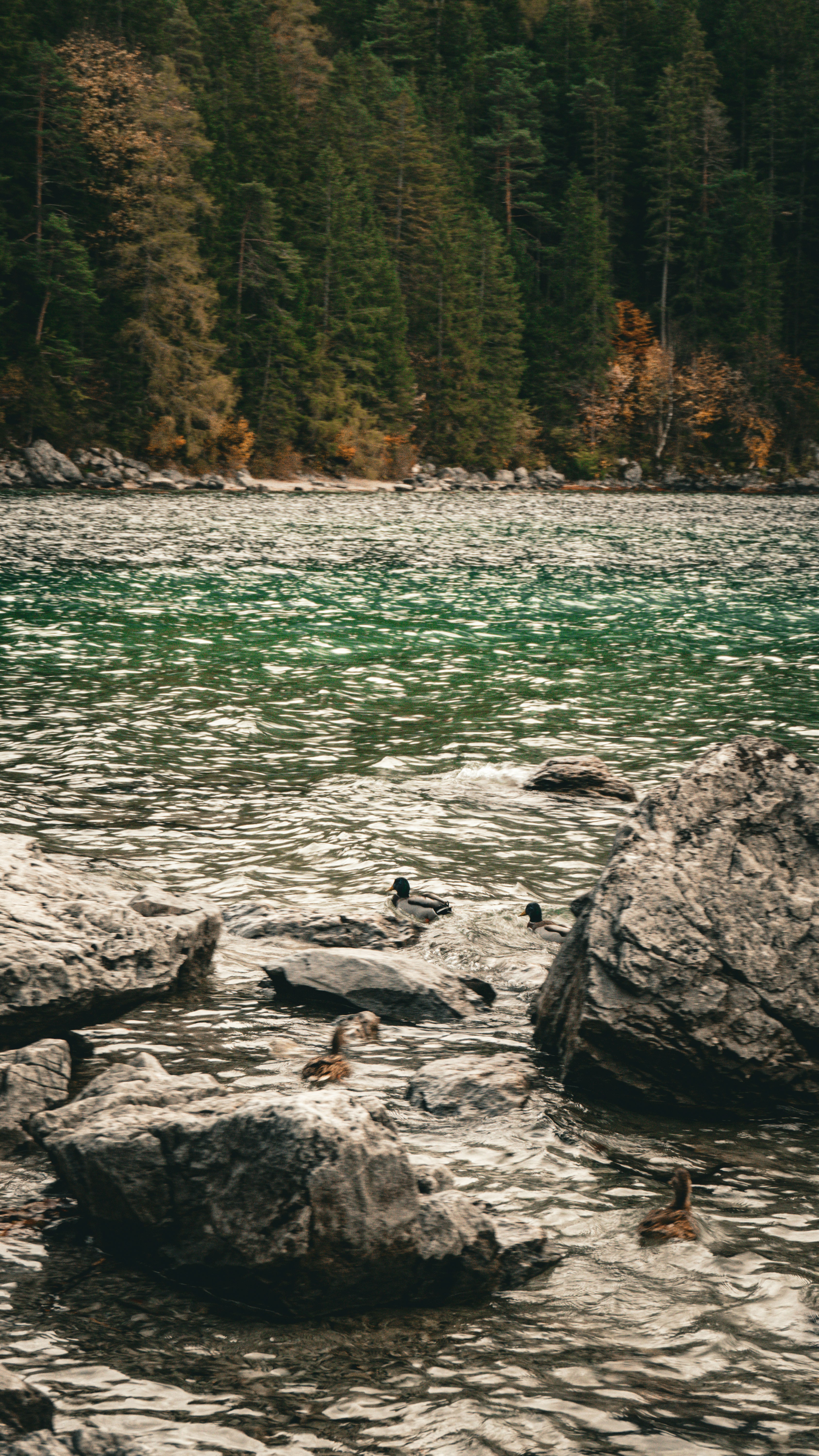 Photo by danielsiebert