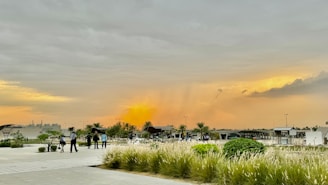 A sunset view over a community park where a fundraising walk for Alzheimer’s awareness took place.