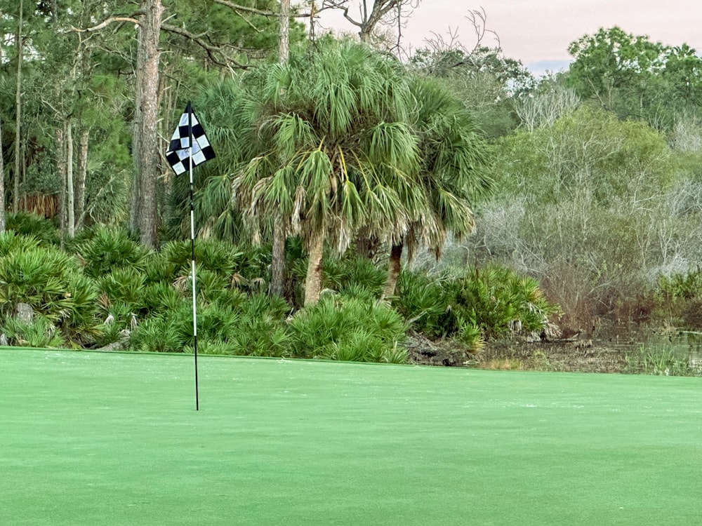 a man is playing golf on a green course