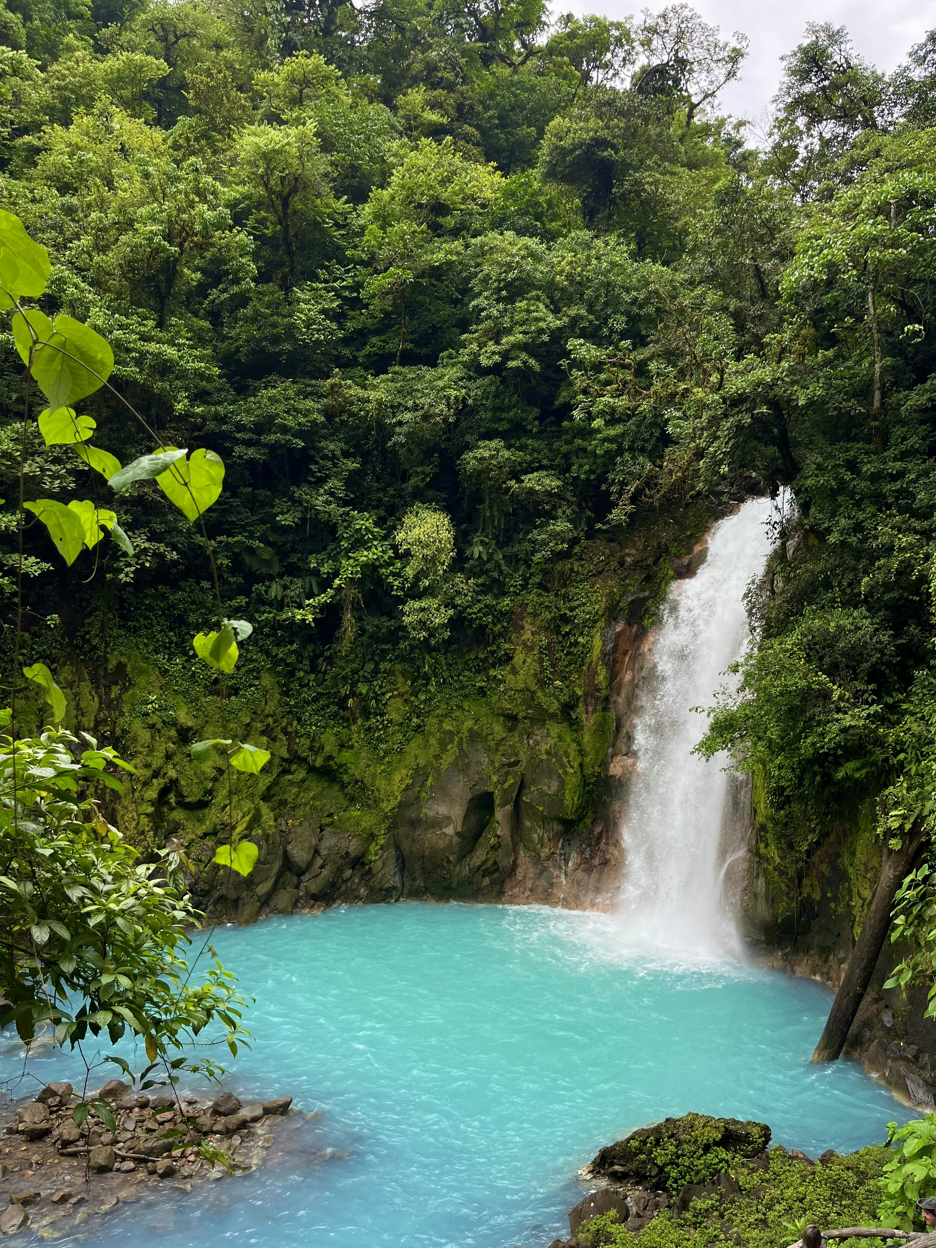 Photo by shelovespizza