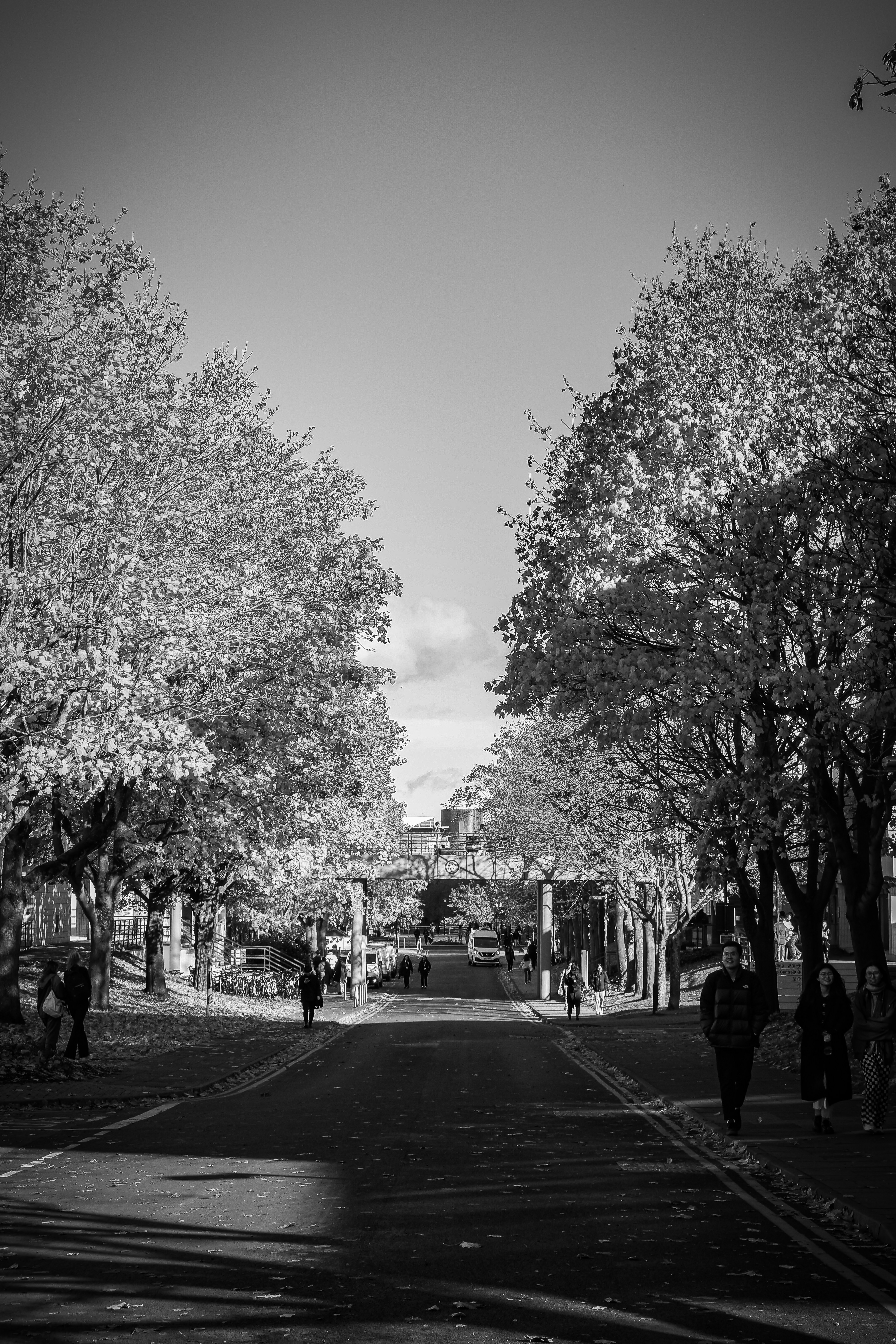 Photo by plate_stories_tsi