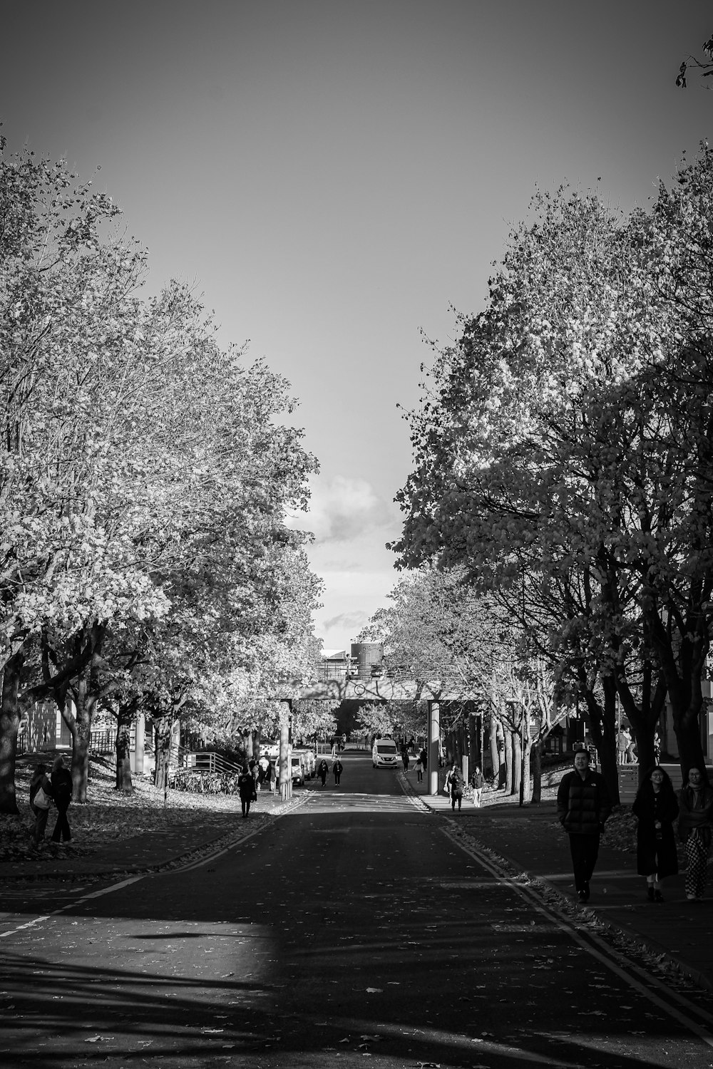 a black and white photo of people walking down a tree lined street