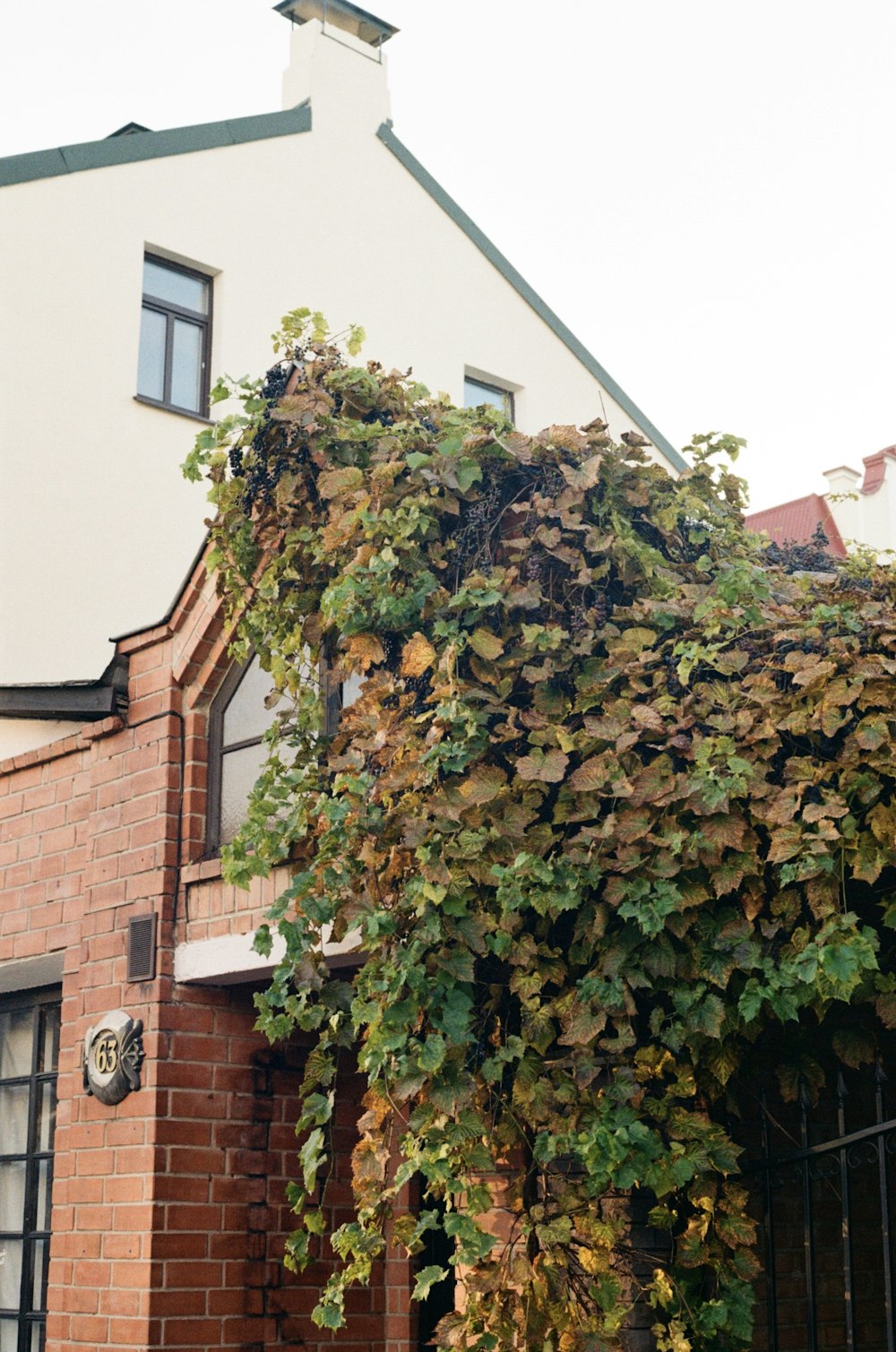 a house covered in vines next to a fence