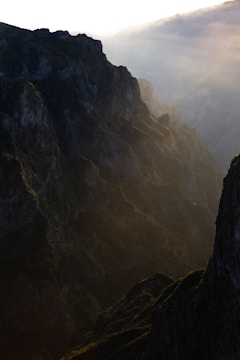 Nature-inspired cubist landscape with gentle light and shadows.