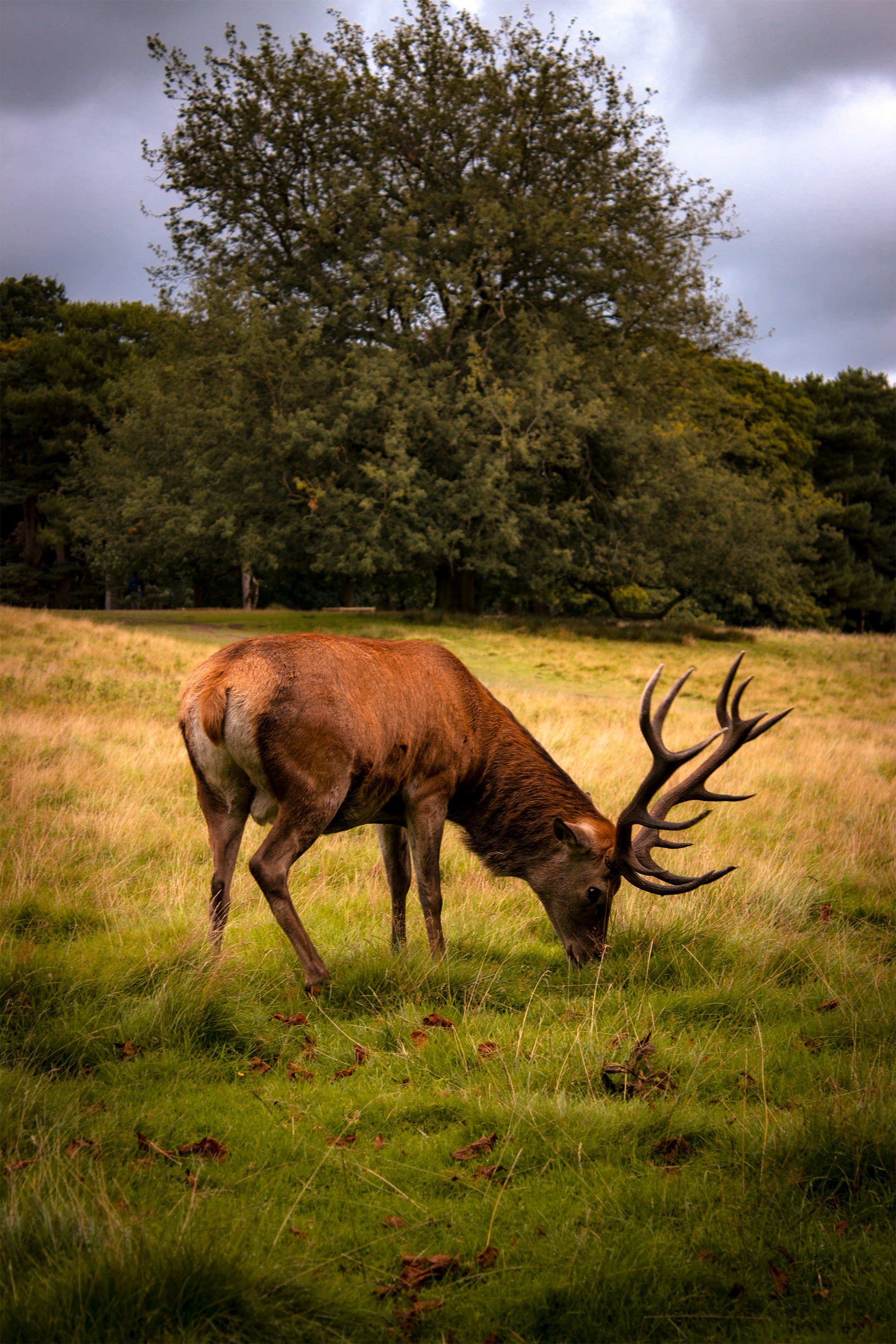 Photo by jamiekettle10