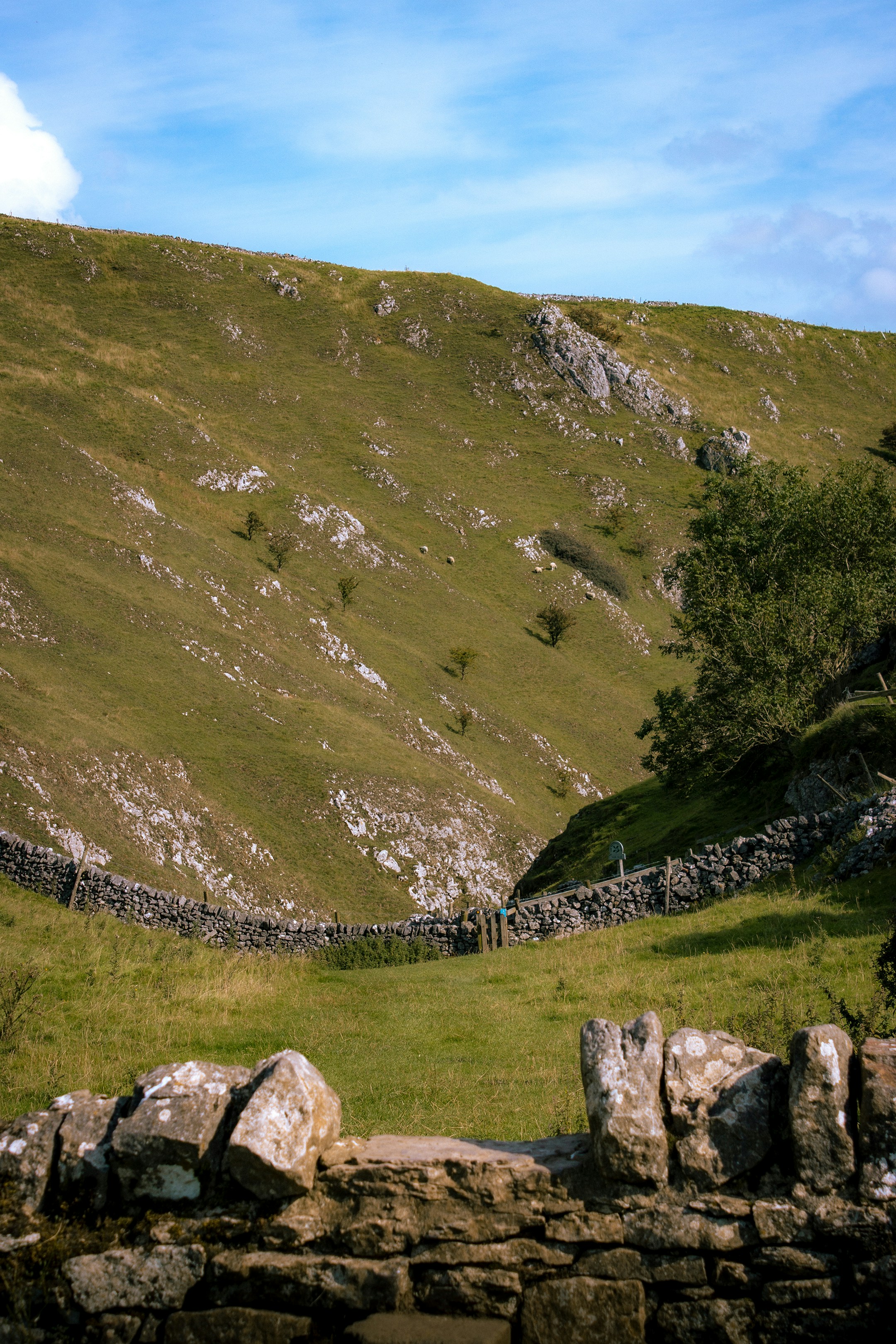 Photo by jamiekettle10