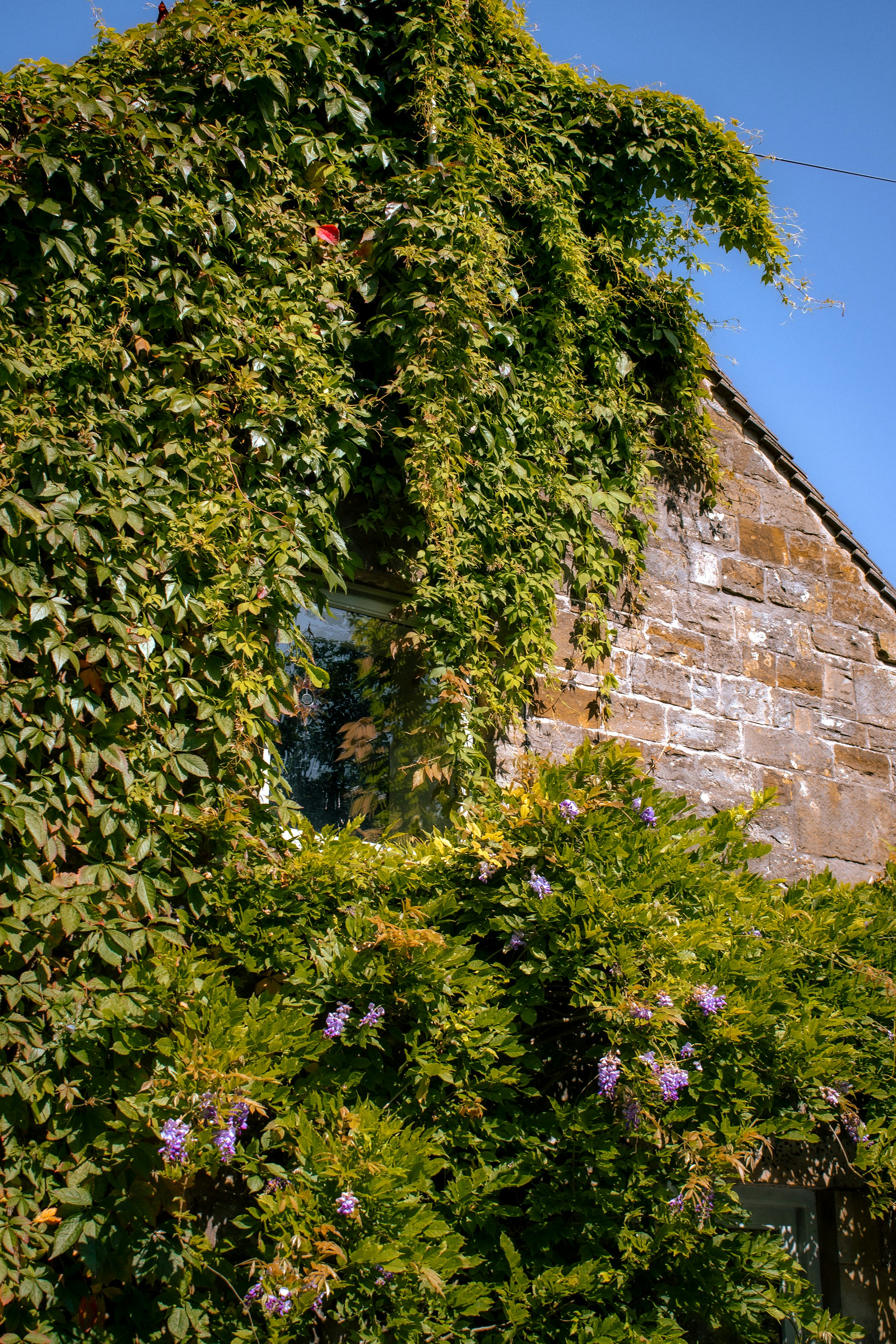 Photo by jamiekettle10