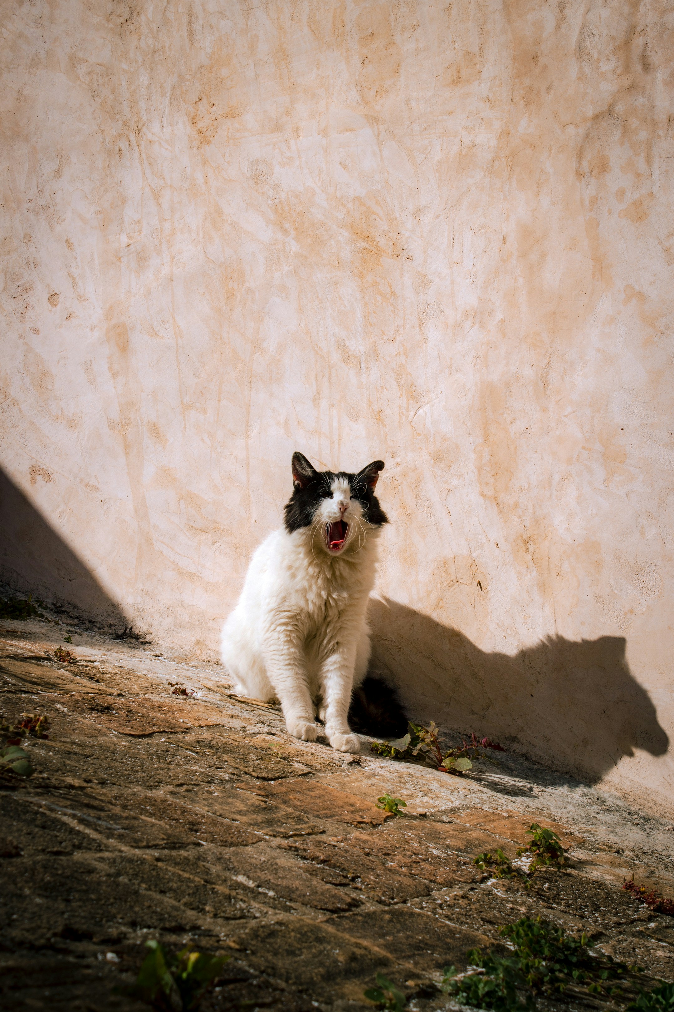 Photo by jamiekettle10