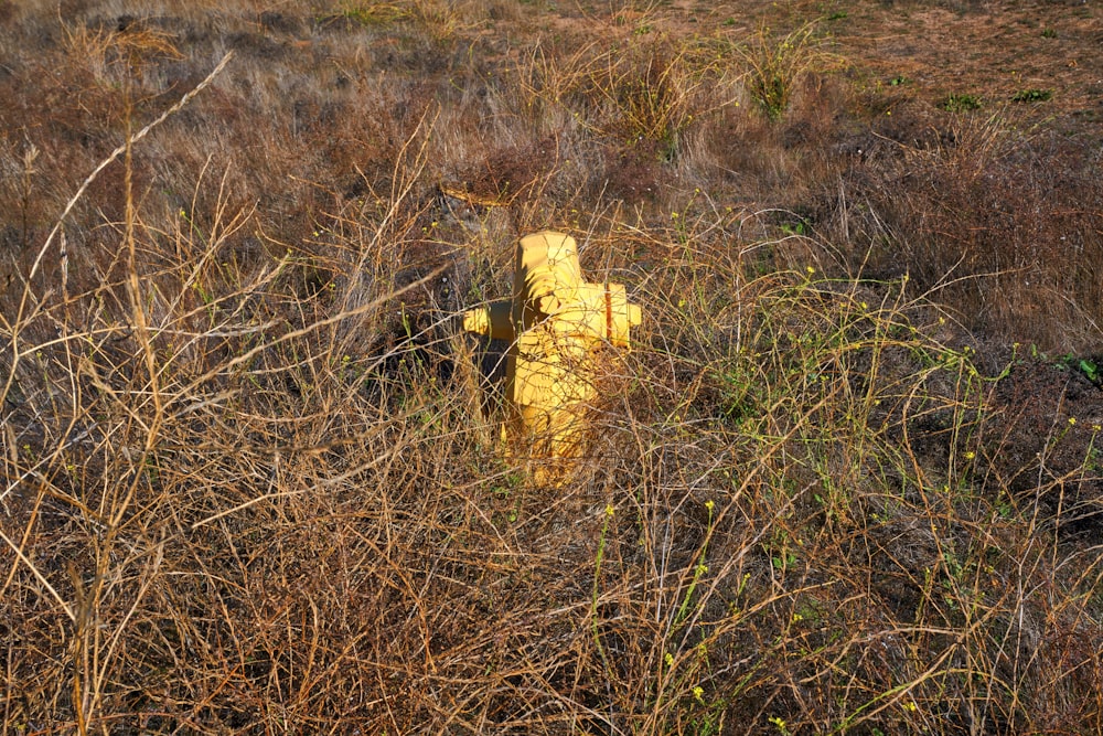 a yellow fire hydrant sitting in the middle of a field