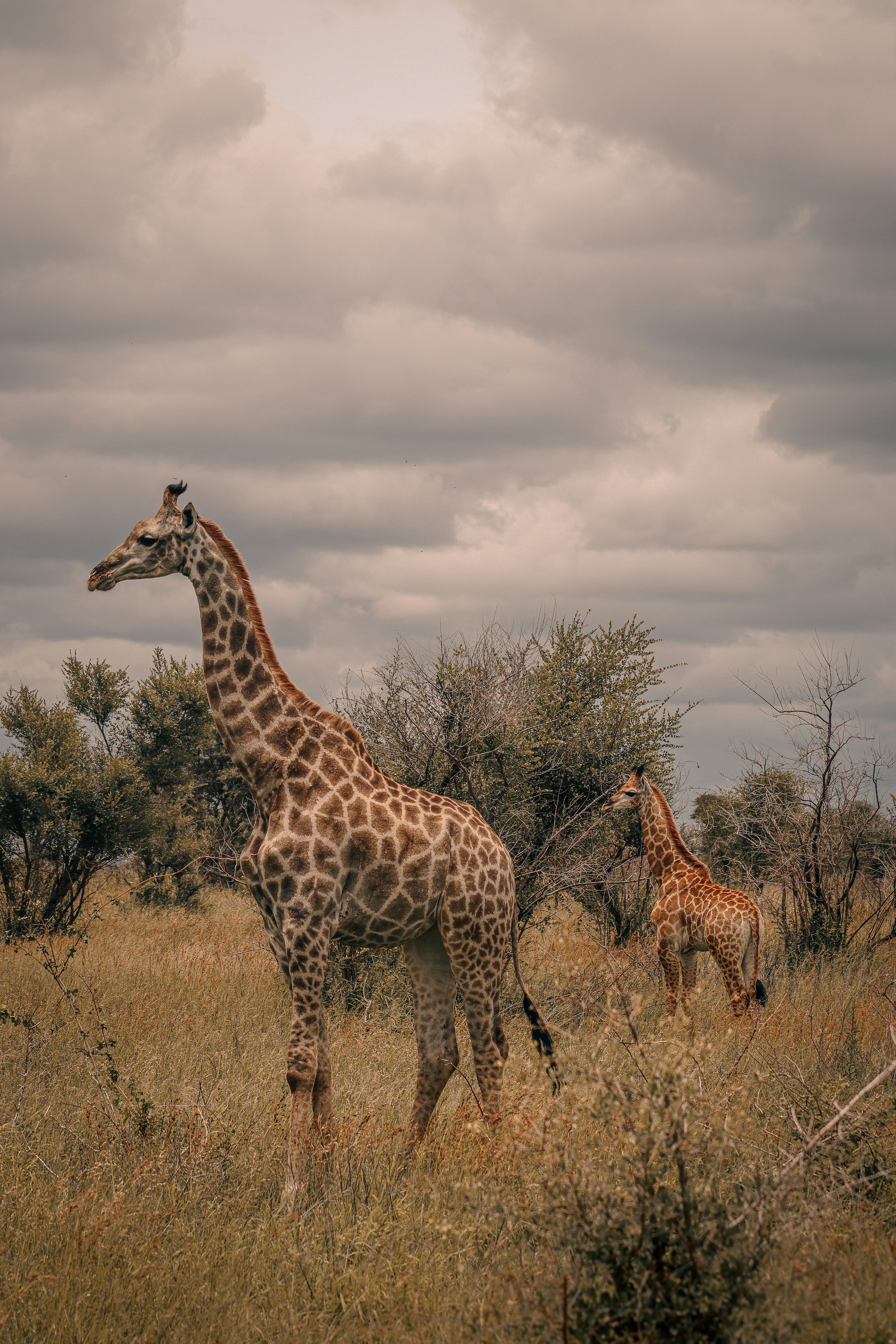 Photo by travbradwade